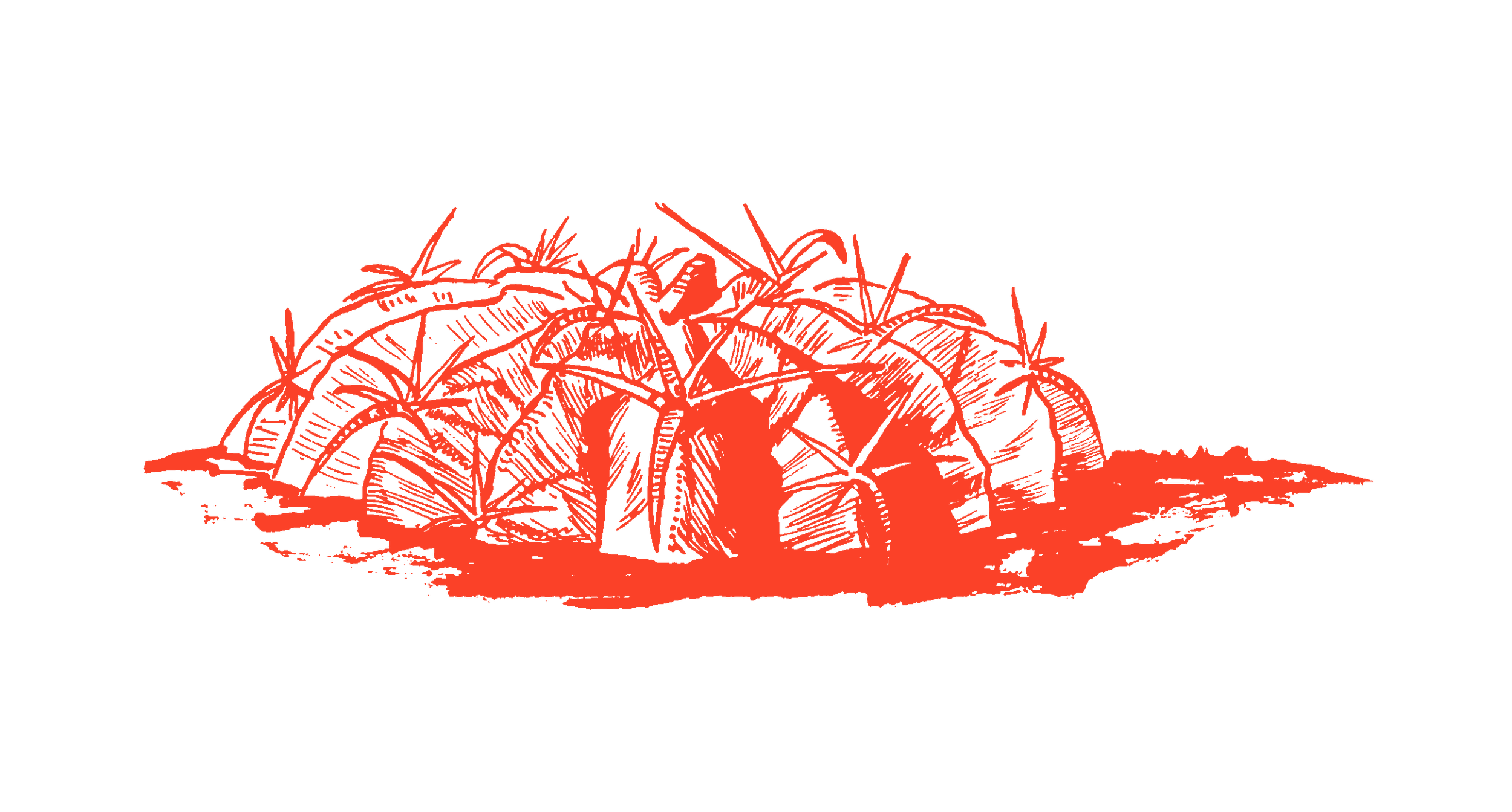 Sea Star Tips for Children’s Book Writing: (Hint)Try Not to Rhyme