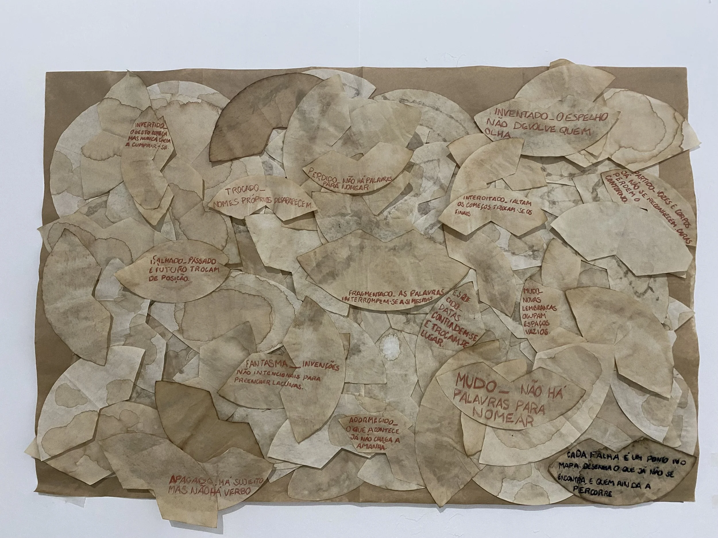 cartografia da falha