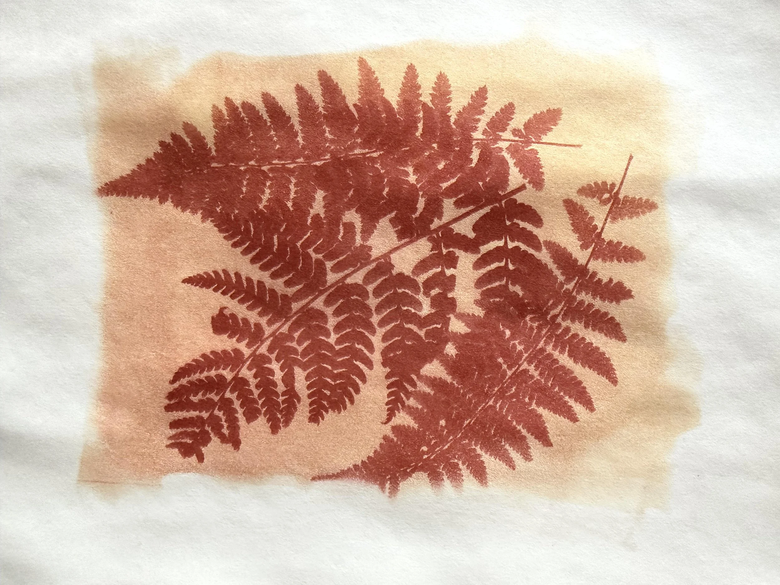 DIY Art: Turmeric Anthotypes