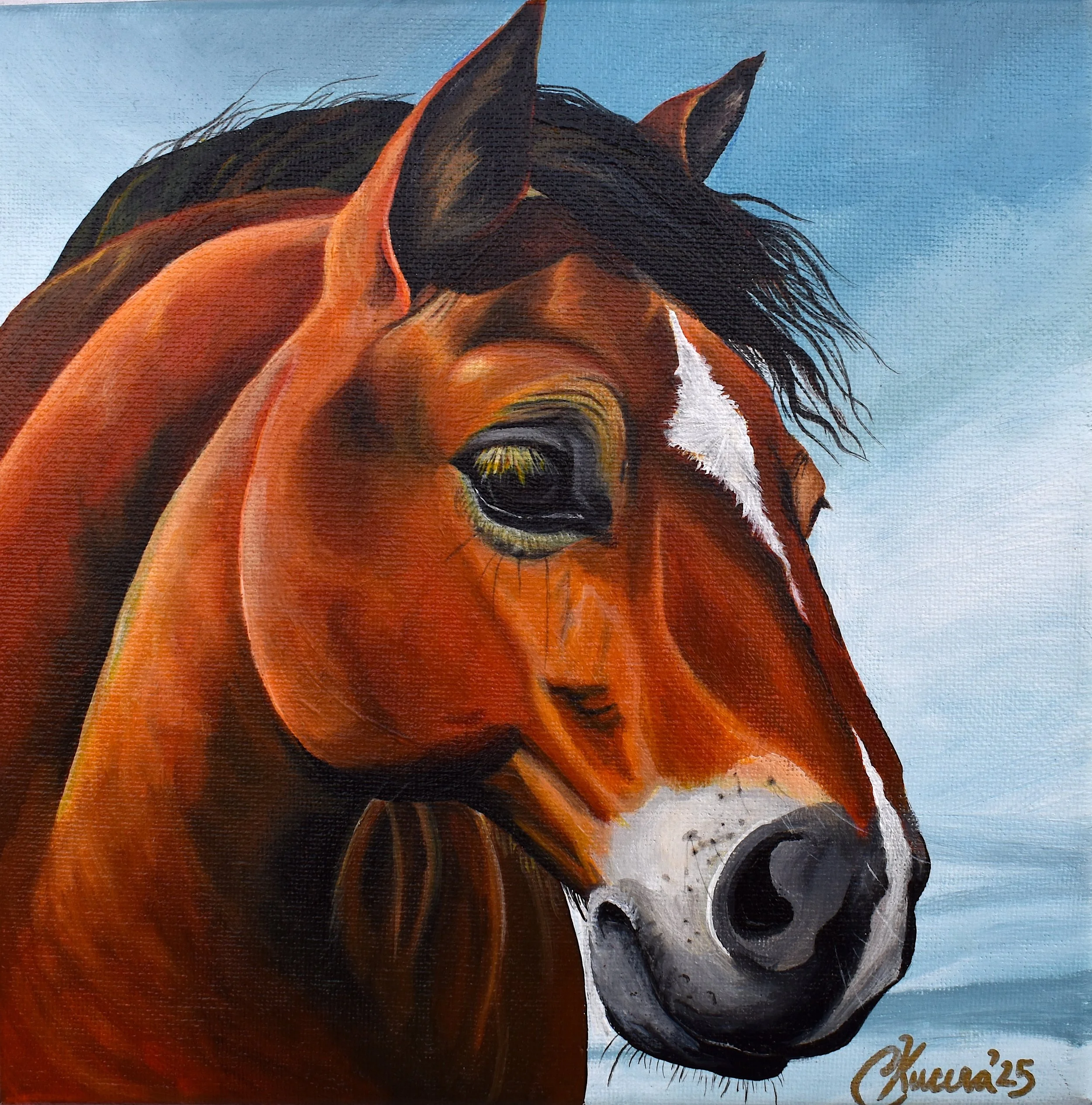 Close-up of a brown horse's head with a white stripe, set against a blue sky background.