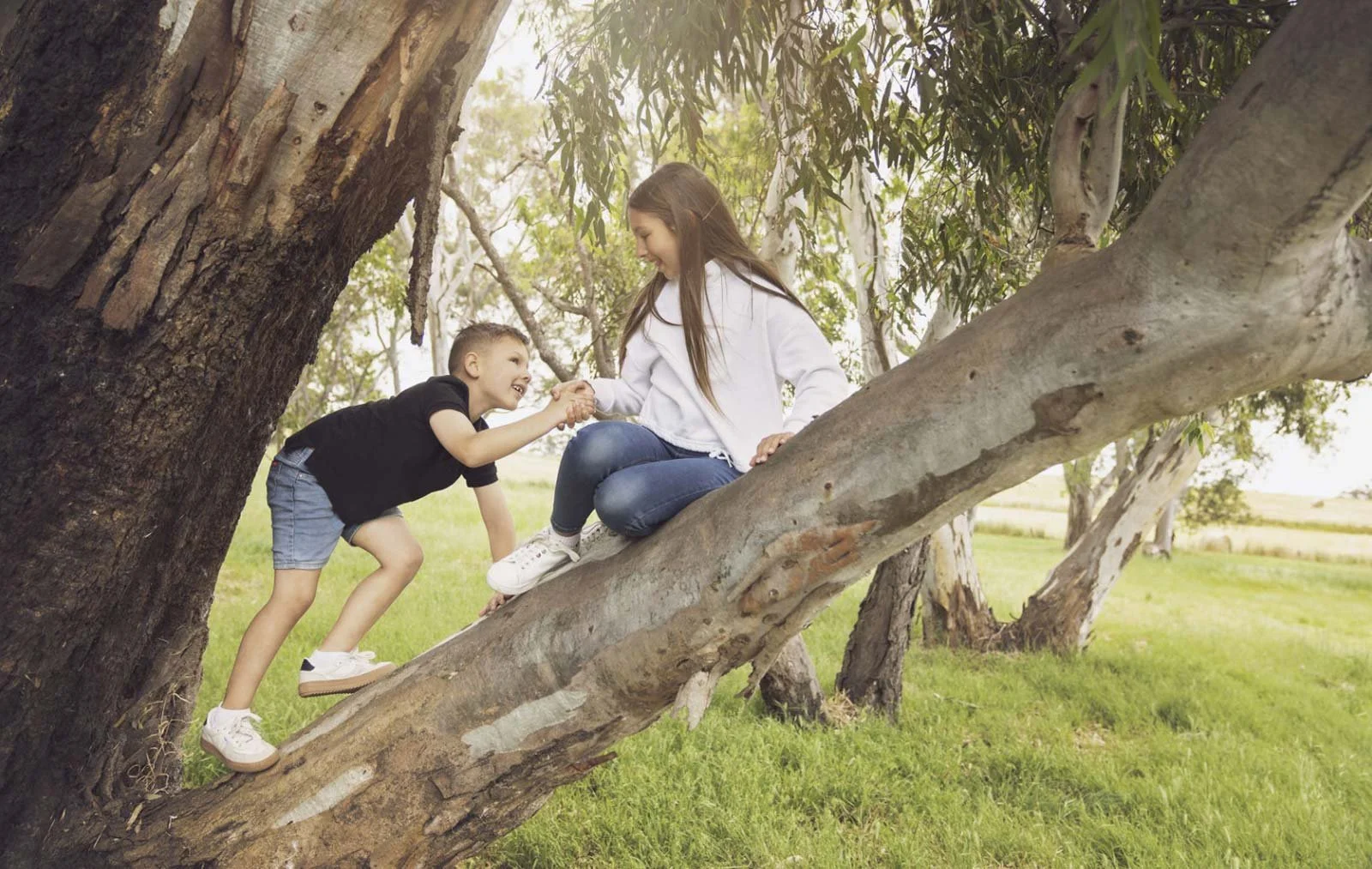 2-kids-climbing-tree-kasija-model-glenlea-estate-photoshoot-advertisment