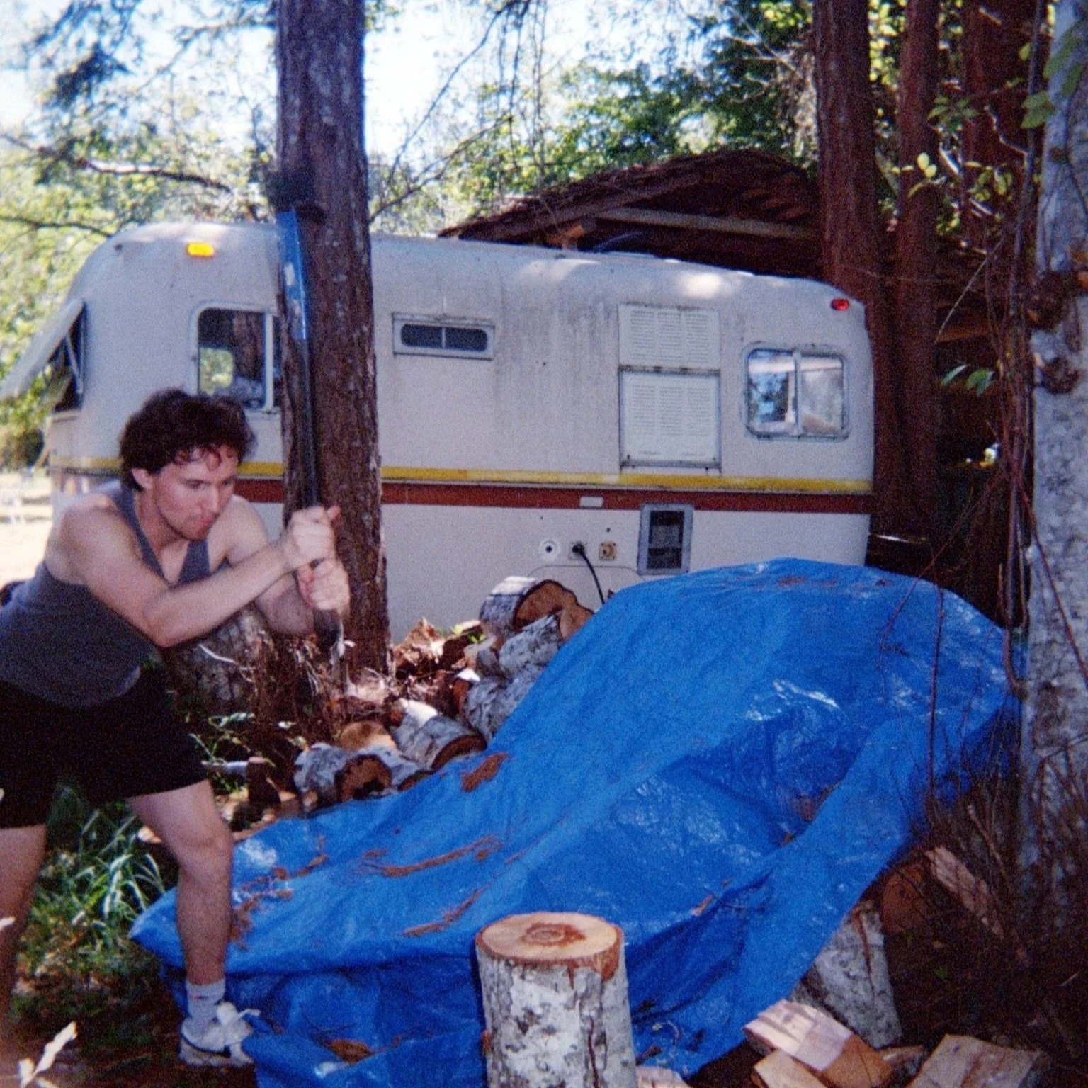 739322562_1.jpg