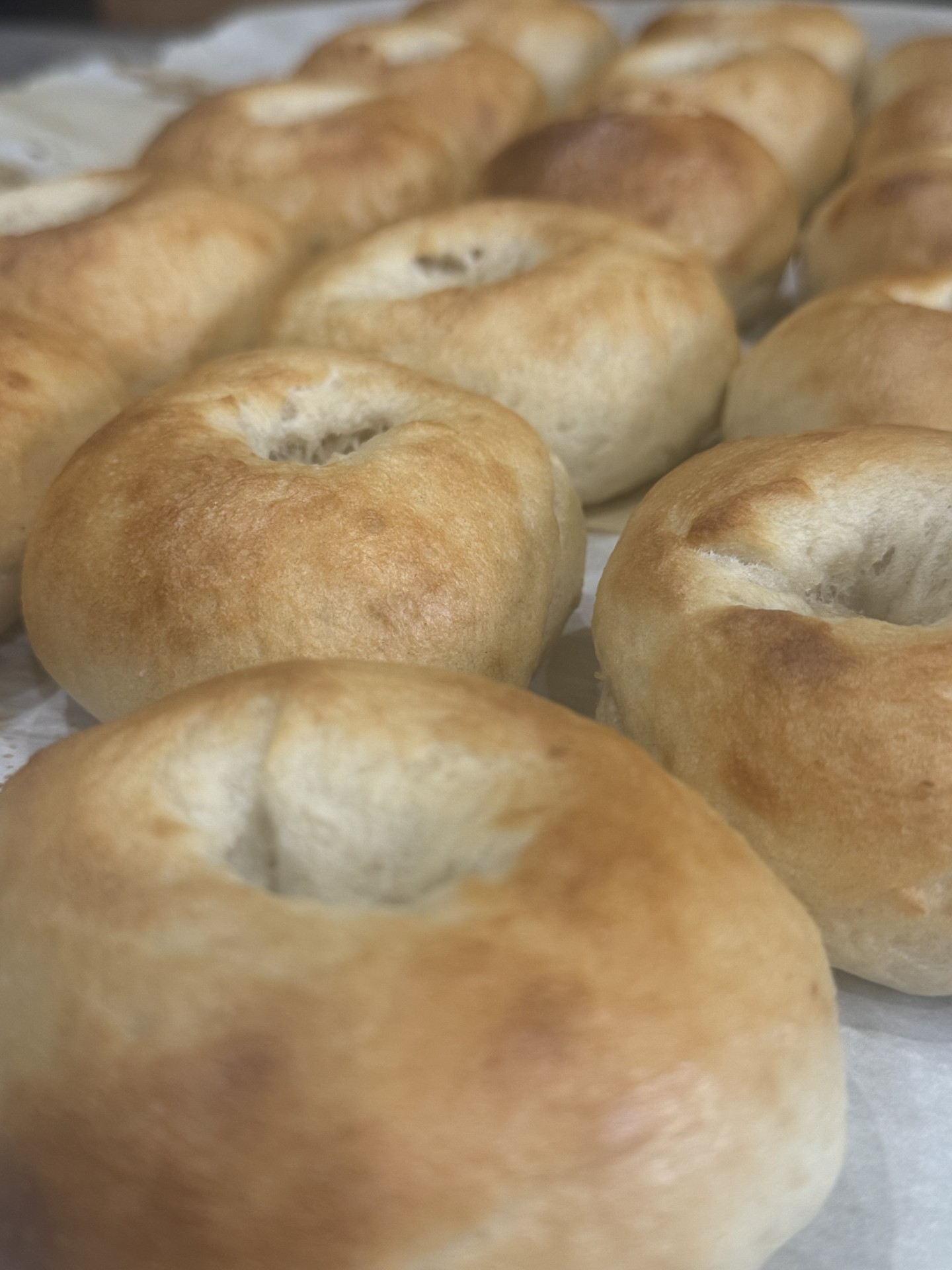 Homemade Sourdough Bagels