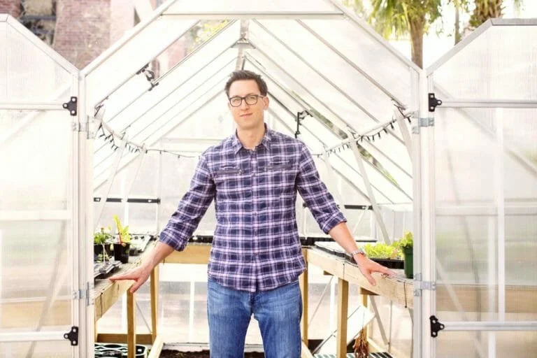 optimize your gut health