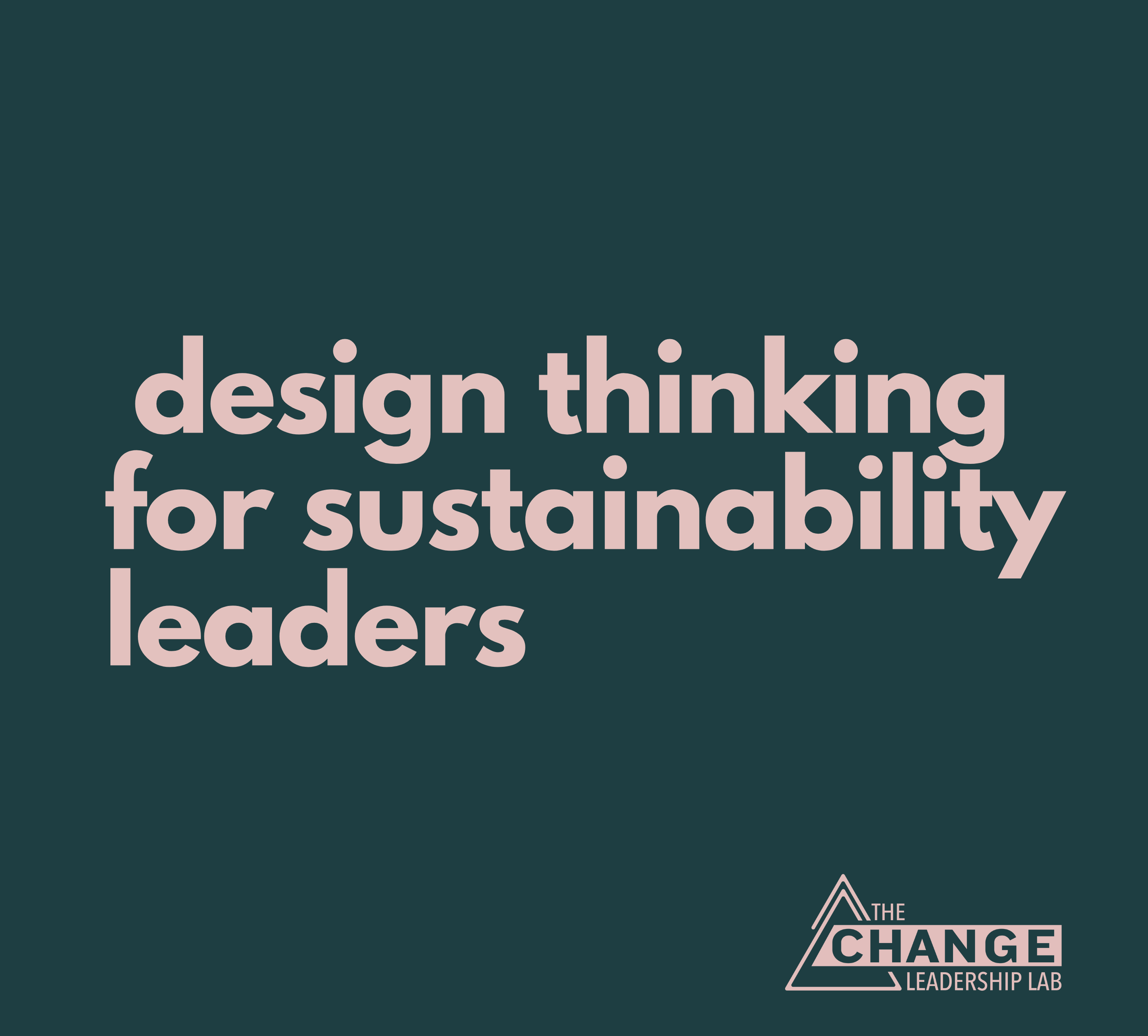Design Thinking for Sustainability Leaders