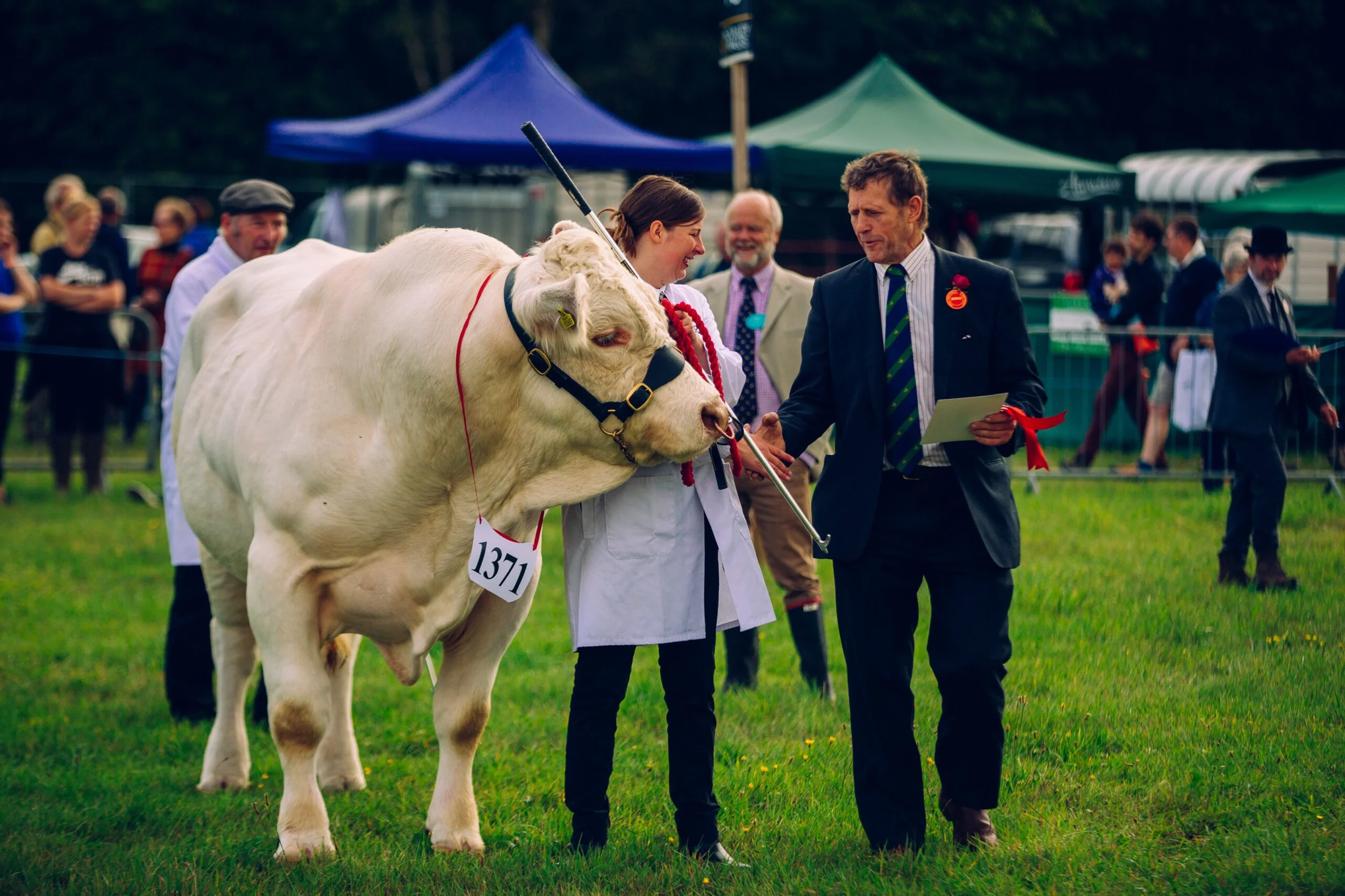 ROMSEY SHOW
