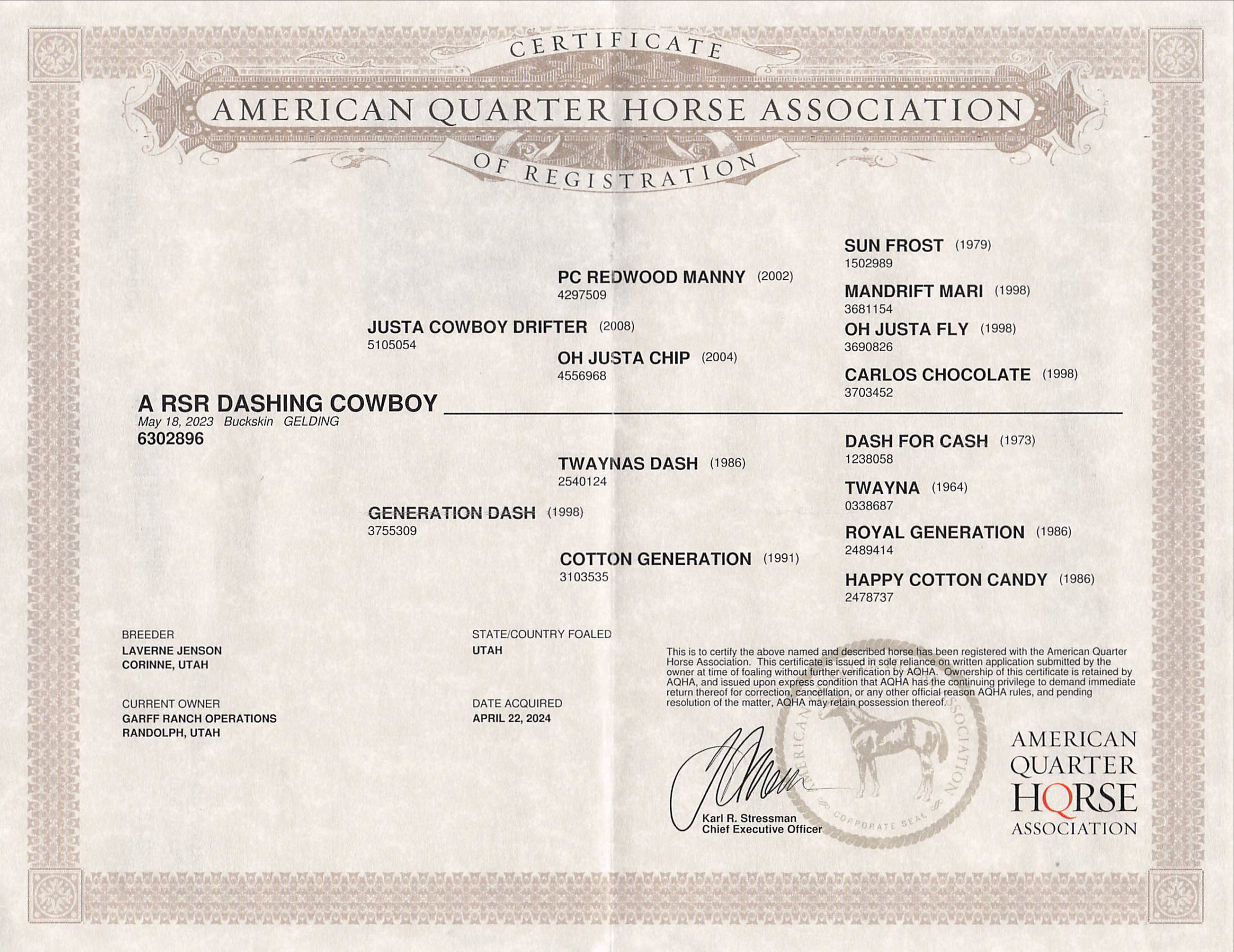 a RSR Dashing Cowboy (Frijole) AQHA Certificate of Reg.png