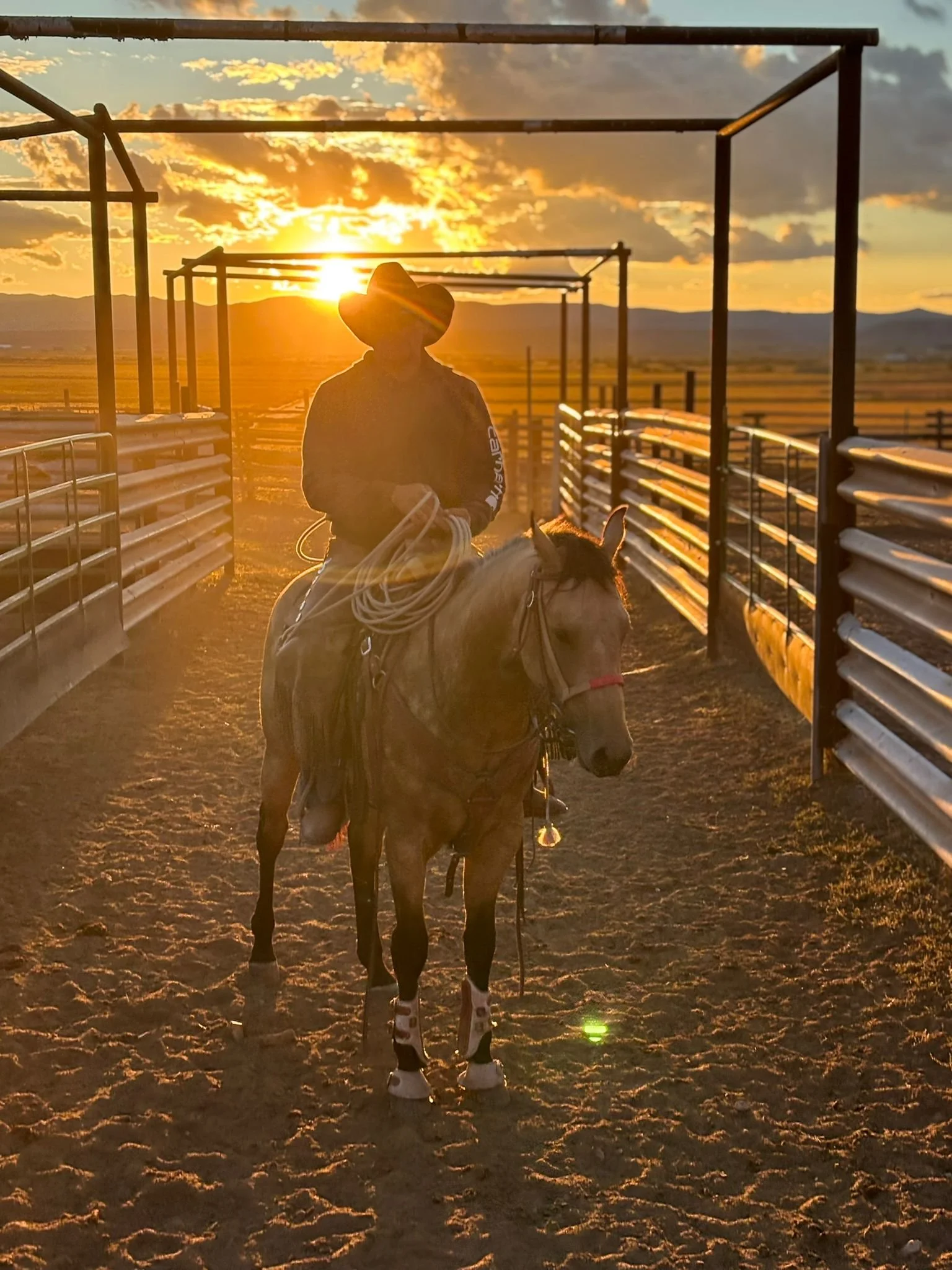 A RSR DASHING COWBOY
