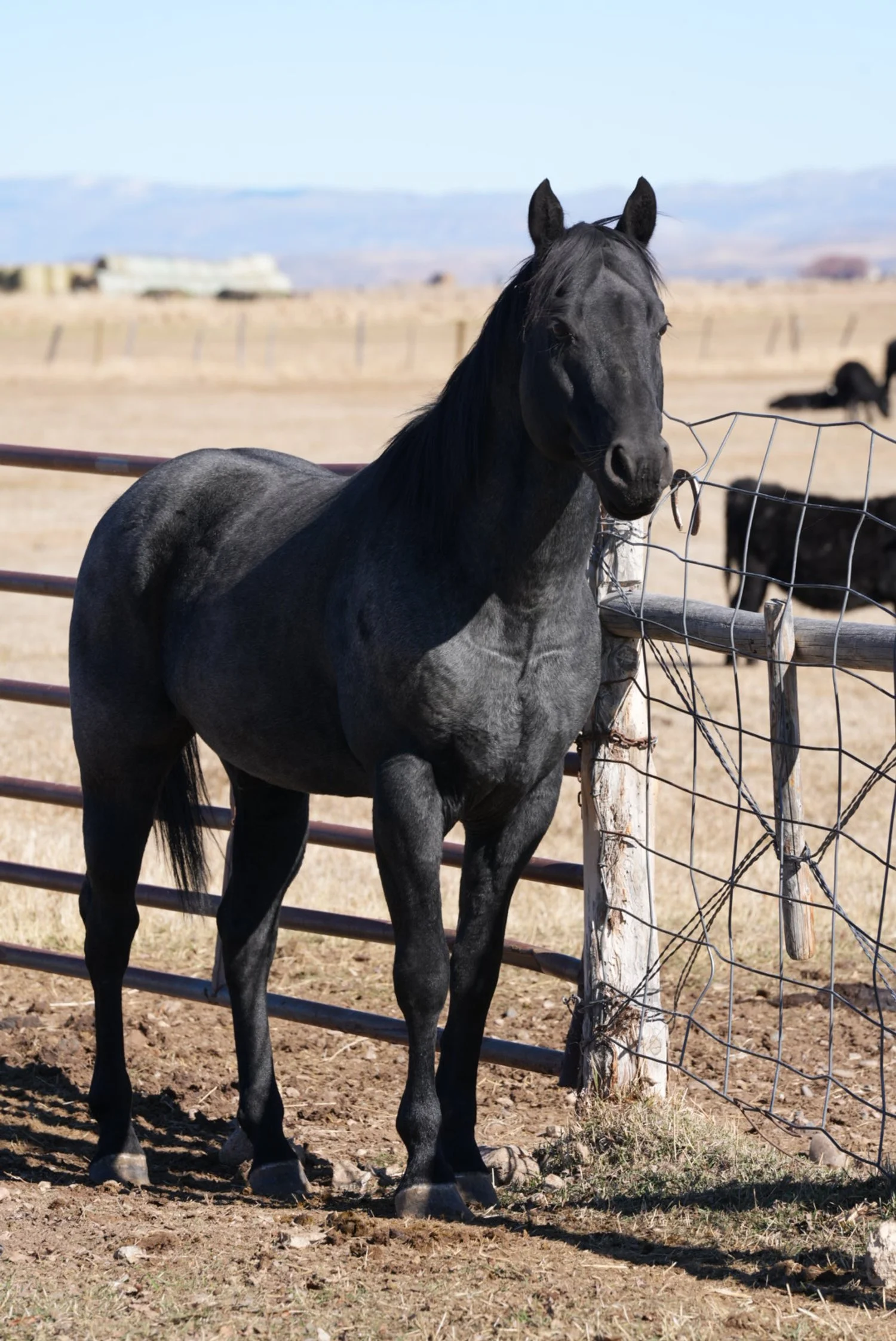 TNT SECONDHAND SMOKE