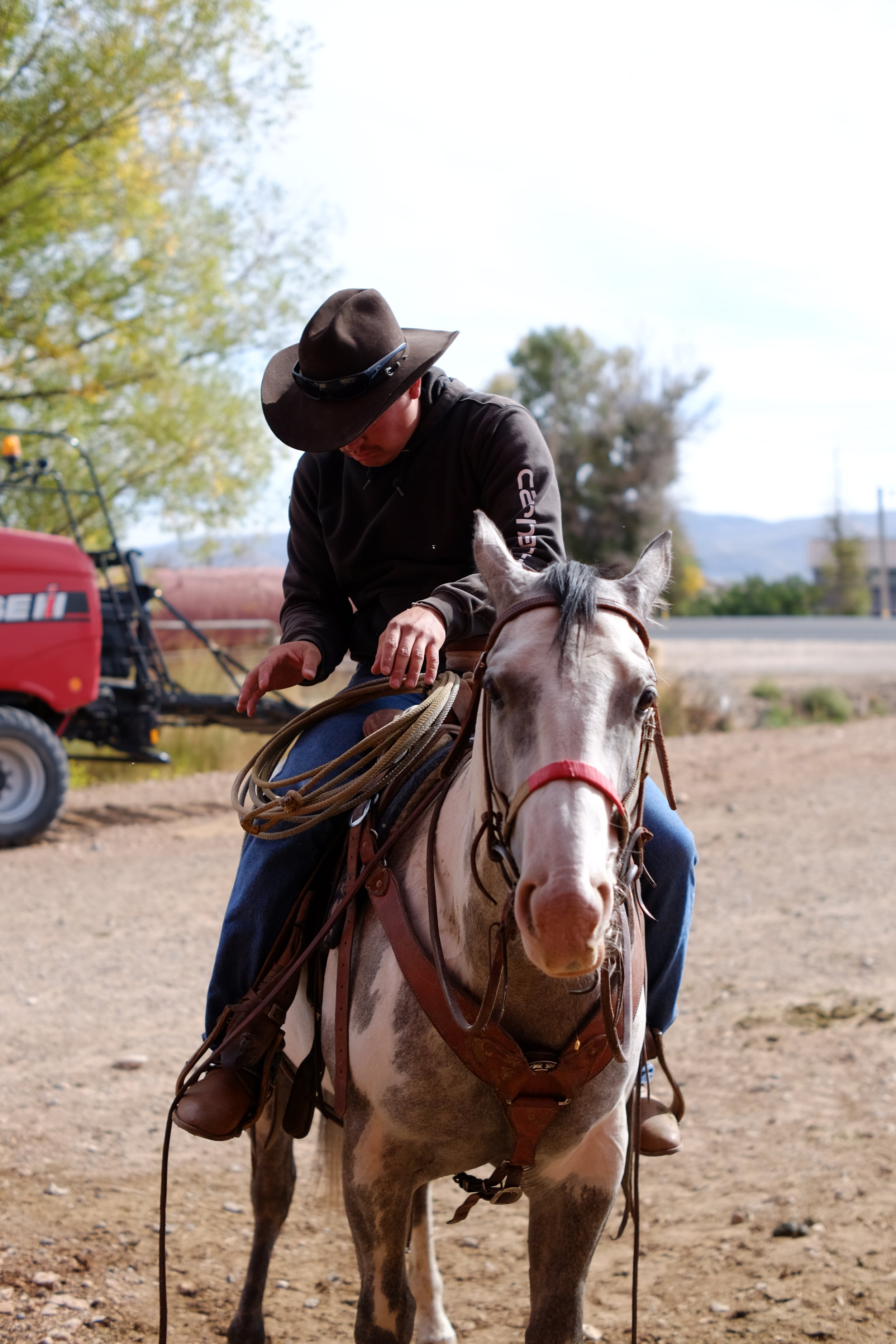 A man wearing a cowboy hat and dark clothing sitting on a white and gray speckled horse, holding a rope, outdoors with trees and farm equipment in the background.
