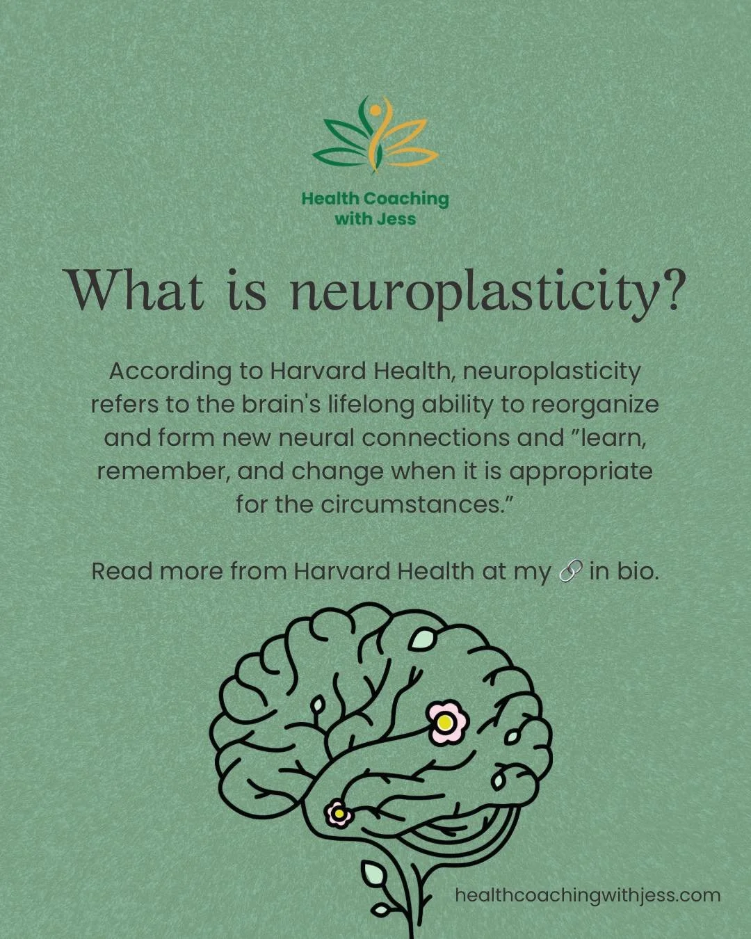 &ldquo;A healthy body supports a healthy brain.&rdquo;

❓ What is neuroplasticity and why is it important? 

🧠 Neuroplasticity is the brain&rsquo;s lifelong ability to reorganize and form new neural connections and &rdquo;learn, remember, and change