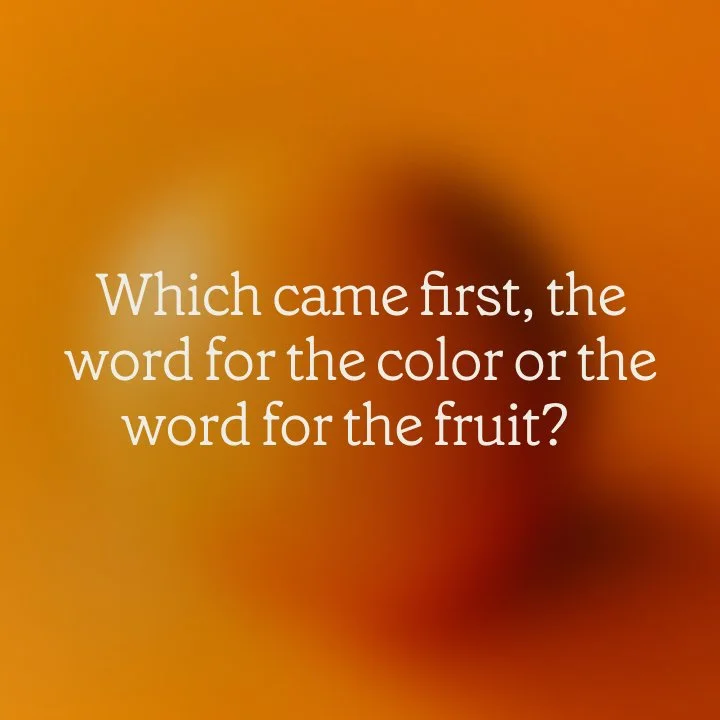 Which came first, the word for the color or the word for the fruit? 🎨

Find out more by scrolling the slides and enjoy starting this Sunday curiously, with a mindful learning brought to you by @thehumane.space. ✨

Today's curiosity and/or reflection
