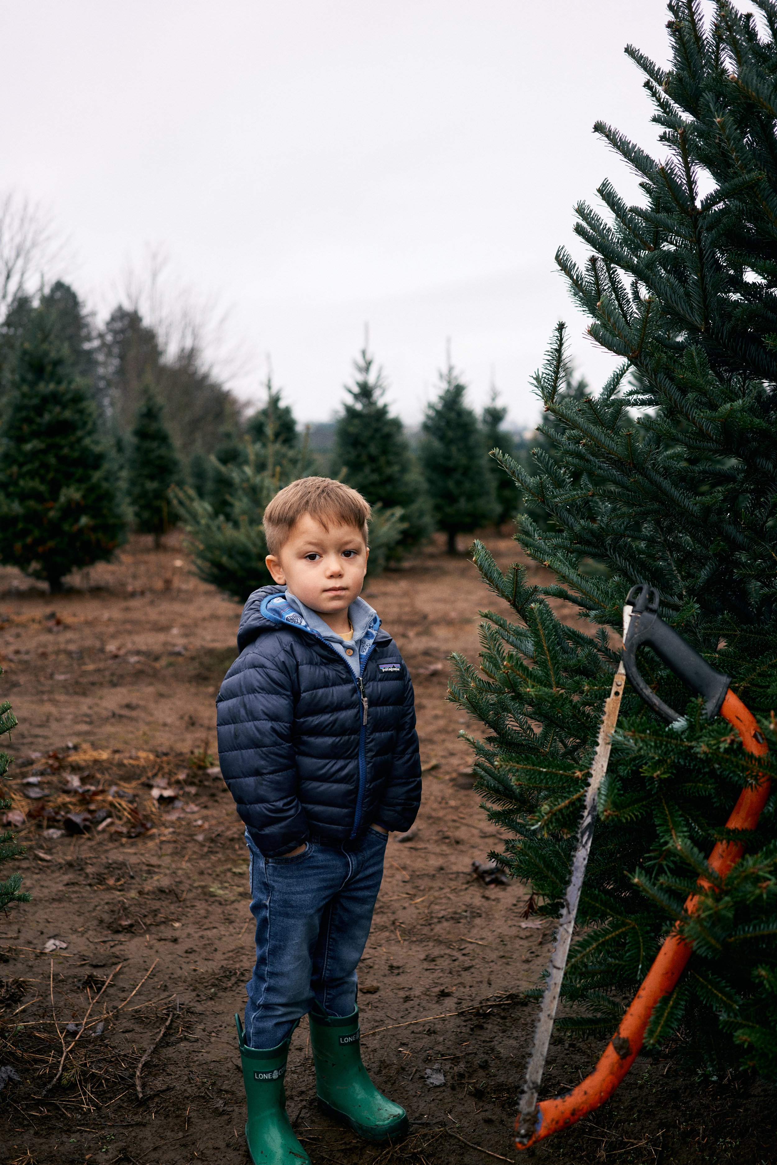 ChristmasTree_WrightsxKremers_2021_-23.jpg