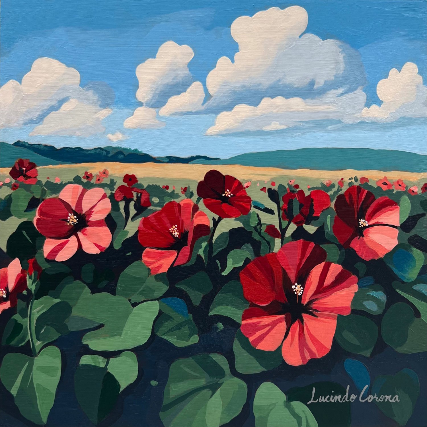 HIBISCUS.jpg