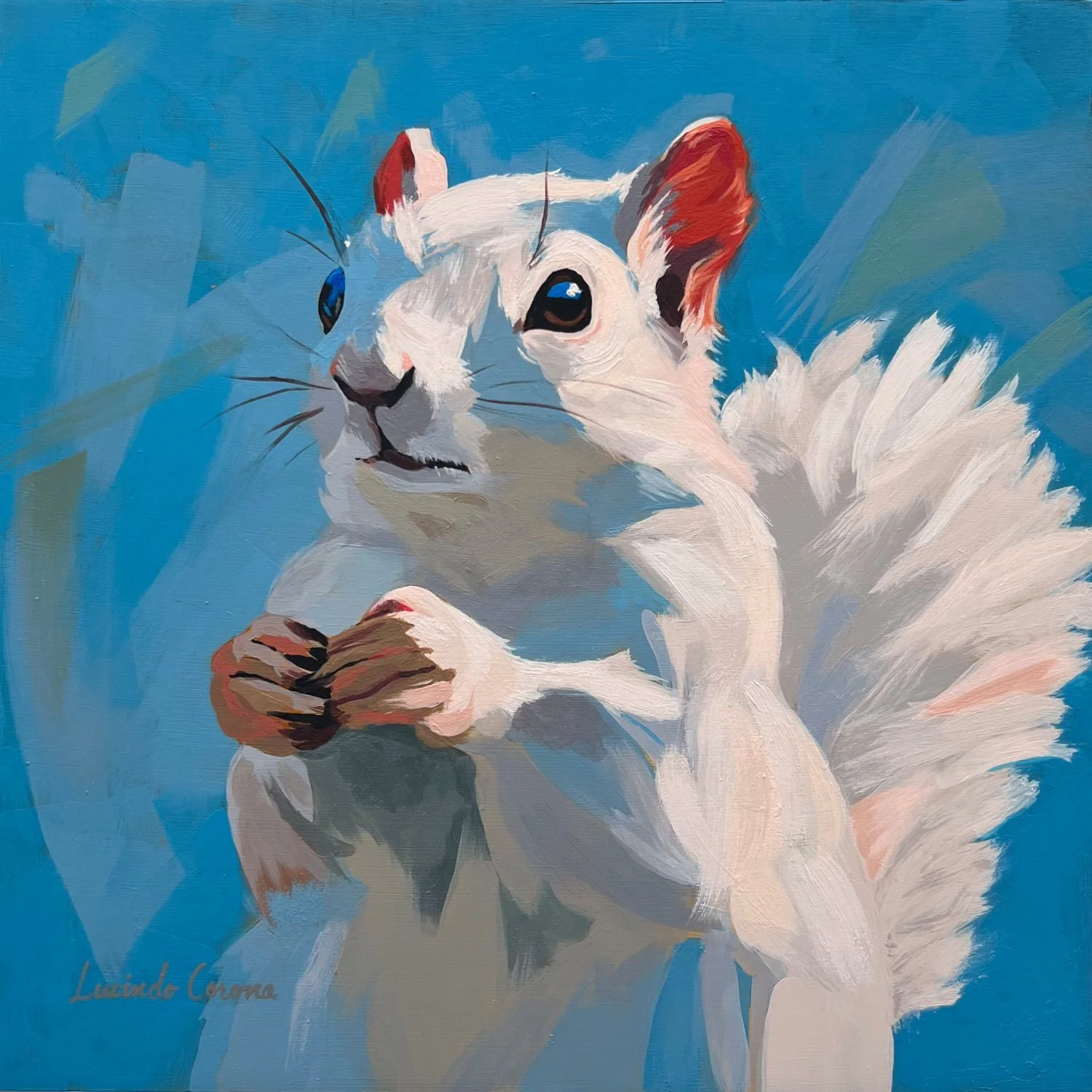 SQUIRREL.jpg