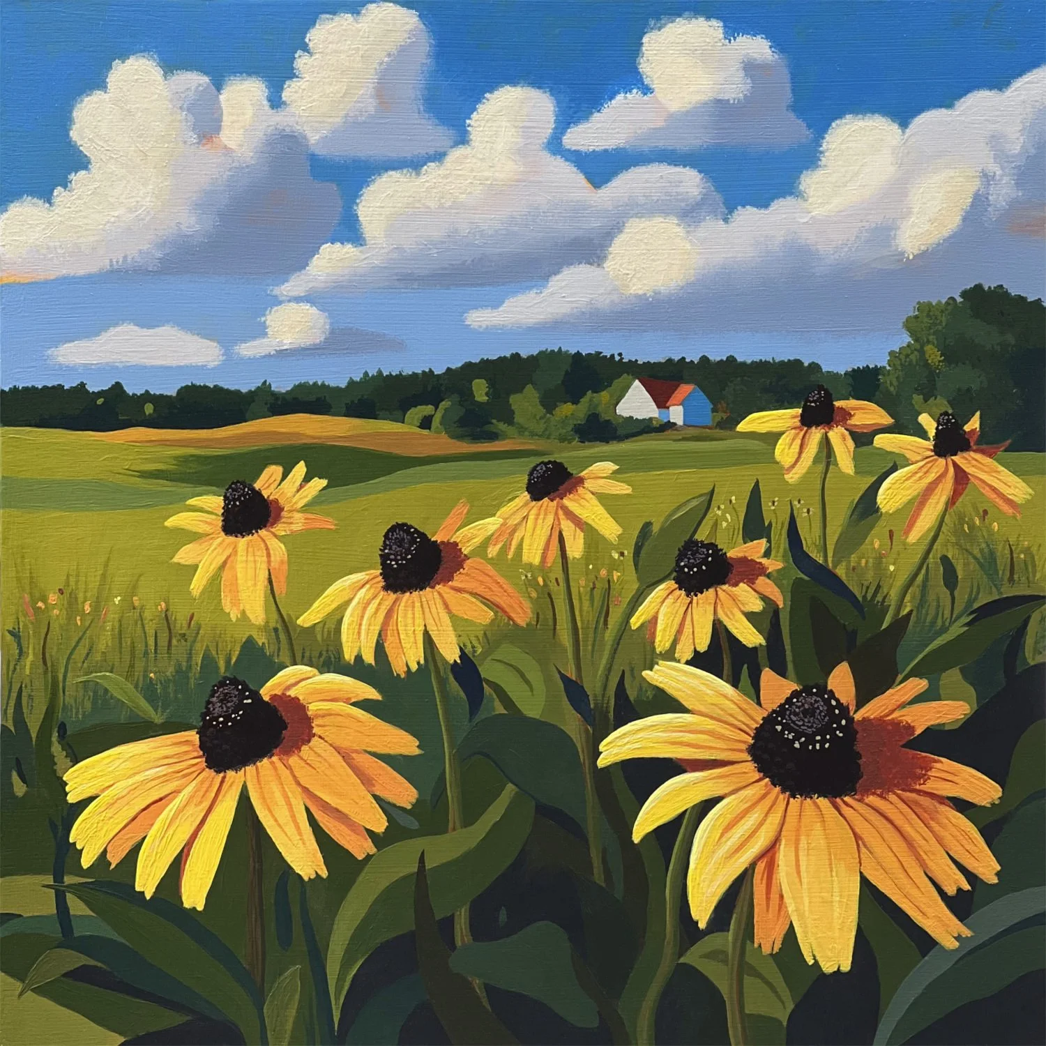 Black Eyed Susan