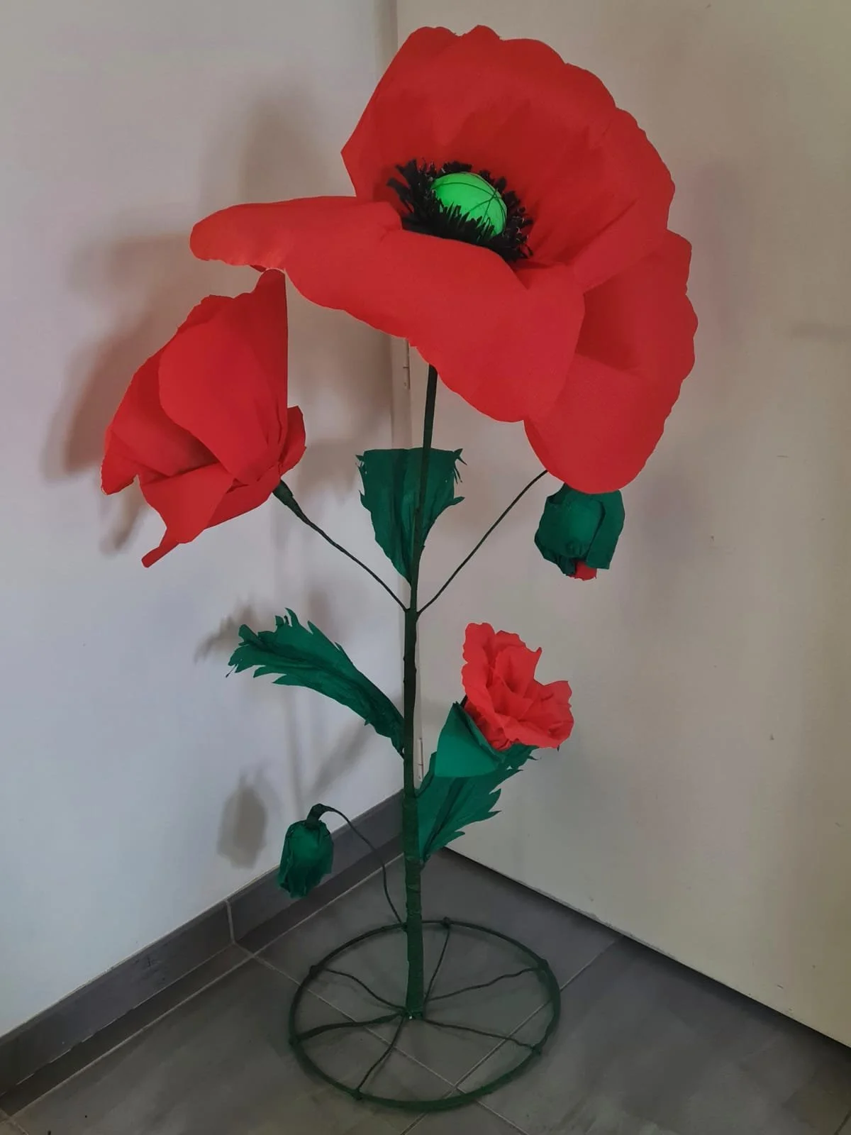 coquelicot.jpg