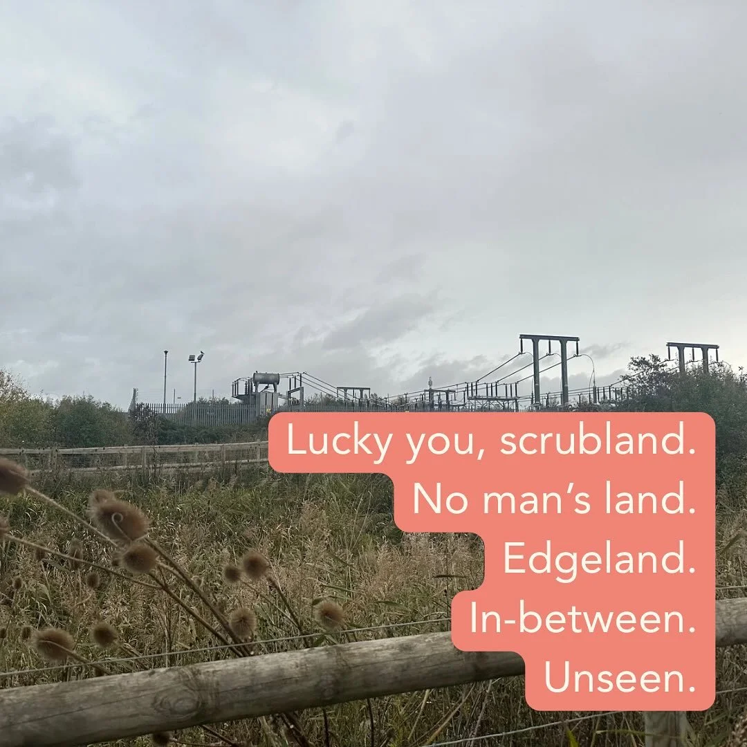 For the places left alone - the unseen inbetween. The wild edges where life carries on without permission. 
There is beauty in the forgotten and unwanted. 
In Ecotherapy we remember these wild margins inside ourselves too - the parts beyond ‘