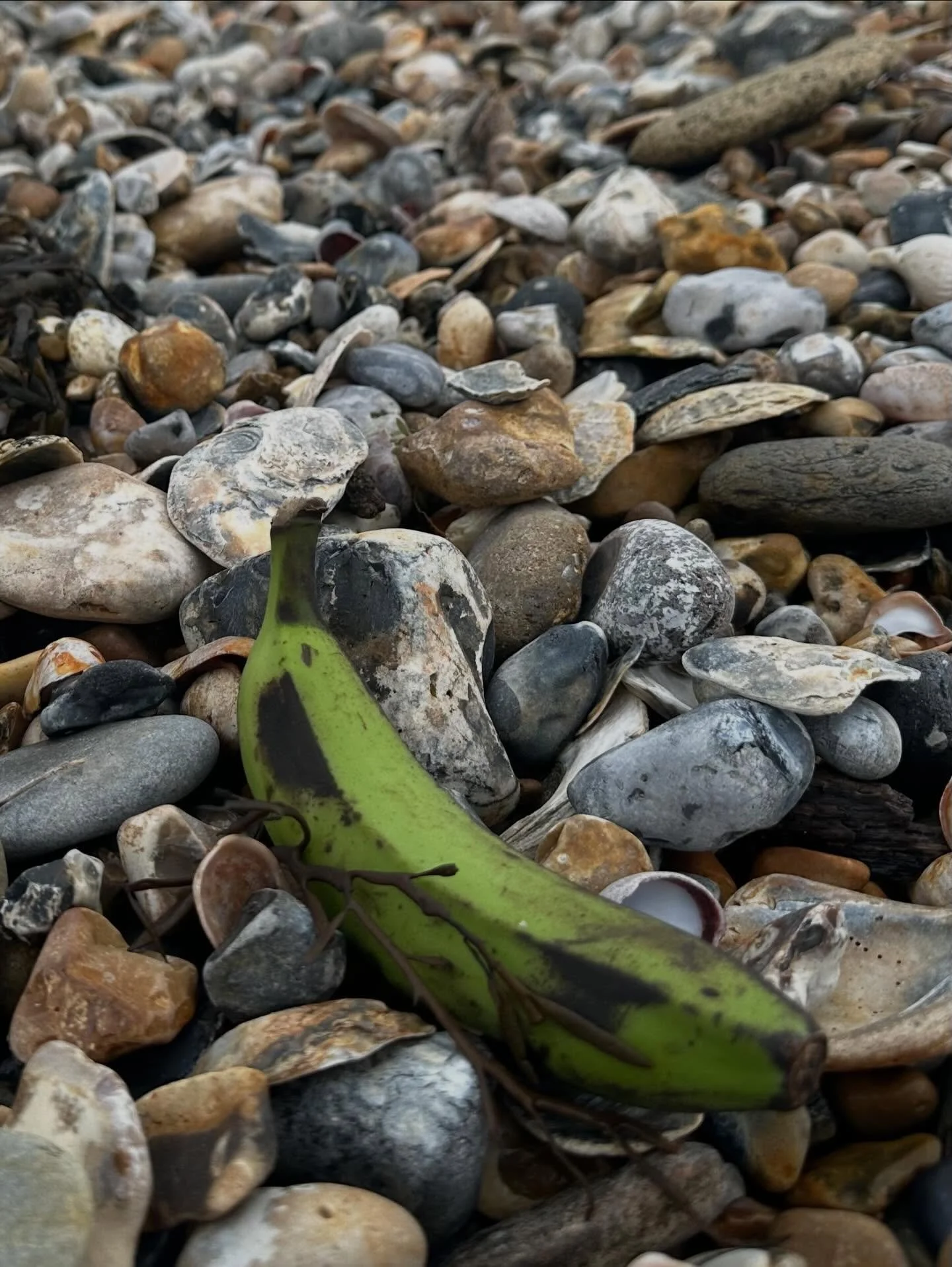 Eight shipping containers of bananas washed up on the Sussex coast.
Plus plantain. Plus avocados.

The supermarkets rushed out a statement saying
&ldquo;Don&rsquo;t worry, we still have enough bananas!&rdquo;
As if that was the concern.
As if anyone 