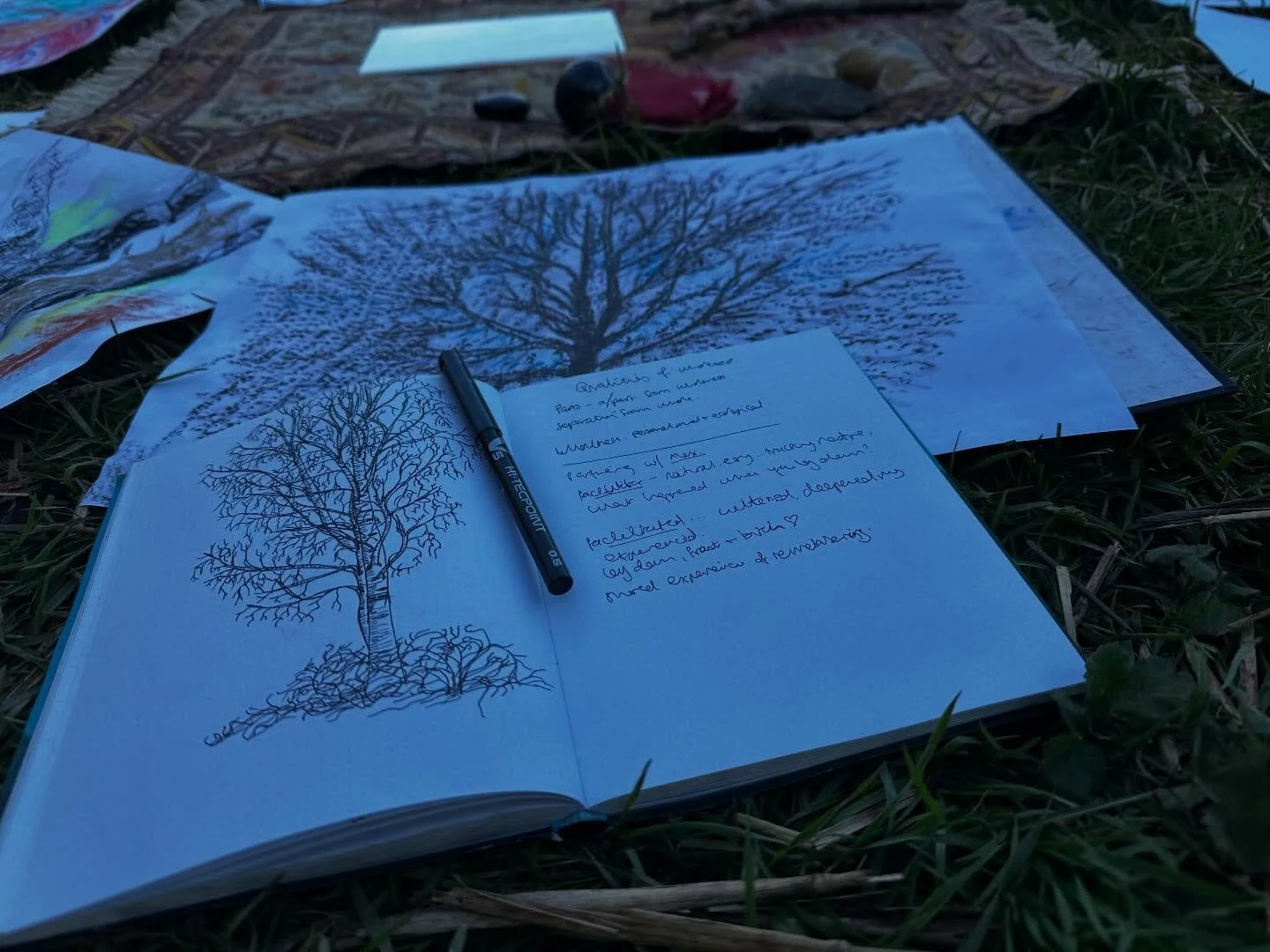 Weekend one of the Advanced Pathway with @naturalacademy_ecopsychology - blessed with sun, equinoxes and new moons, and deeply excited, slightly trepidatious and very grateful to be embarking on two more years of deepening into nature, ecopsychology 