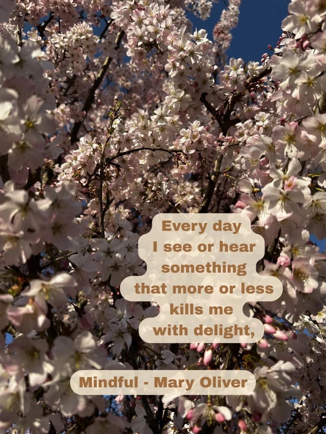 This poem hasn&rsquo;t left me for a week or so. I was visiting it as a possible selection for a circle I was holding.

It keeps returning to me, when I am out walking in the early morning. The absolute beauty of spring, and the more than human world