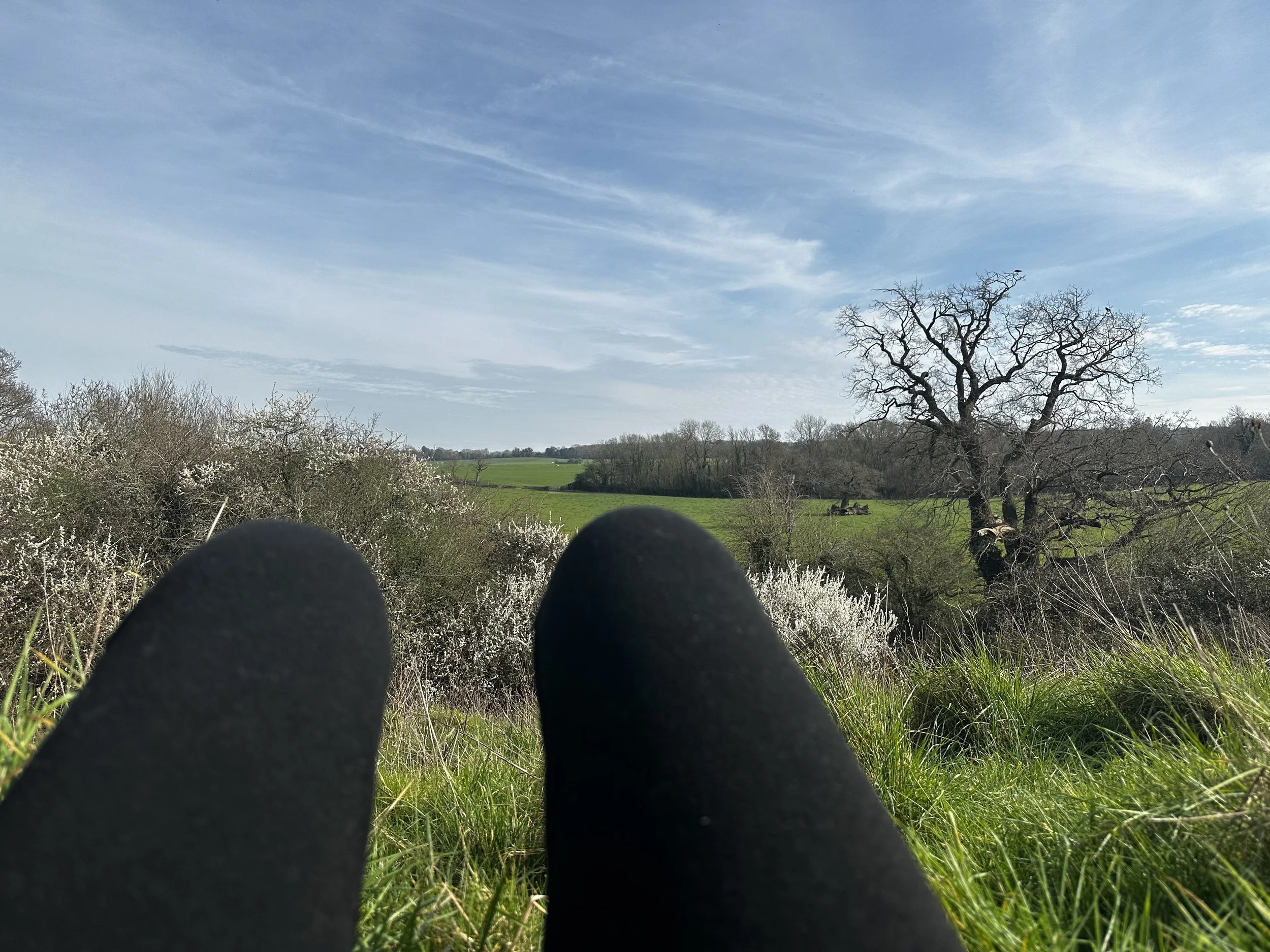 IFS and Ecotherapy, where do they meet?