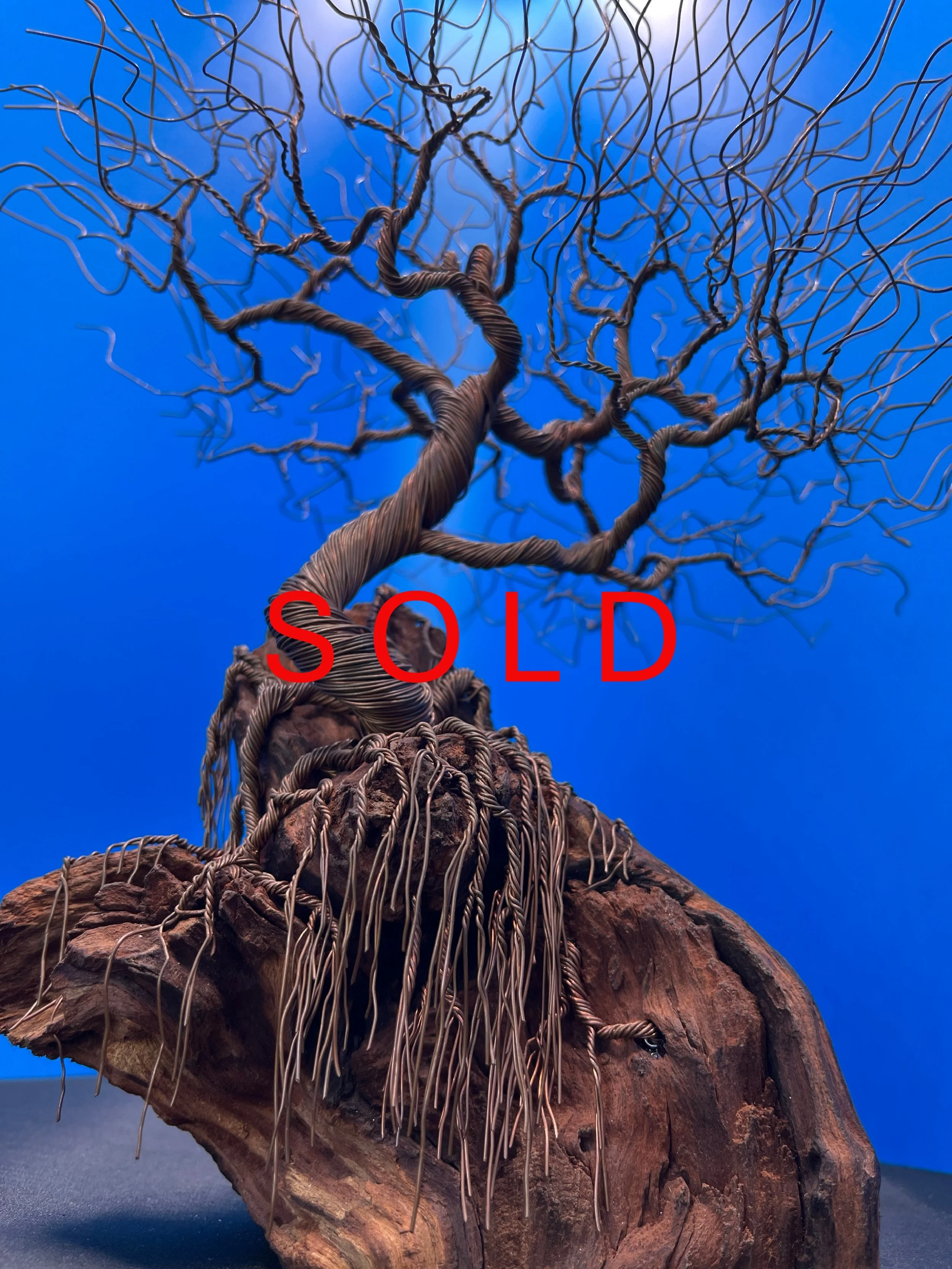 sold tree 2.JPG