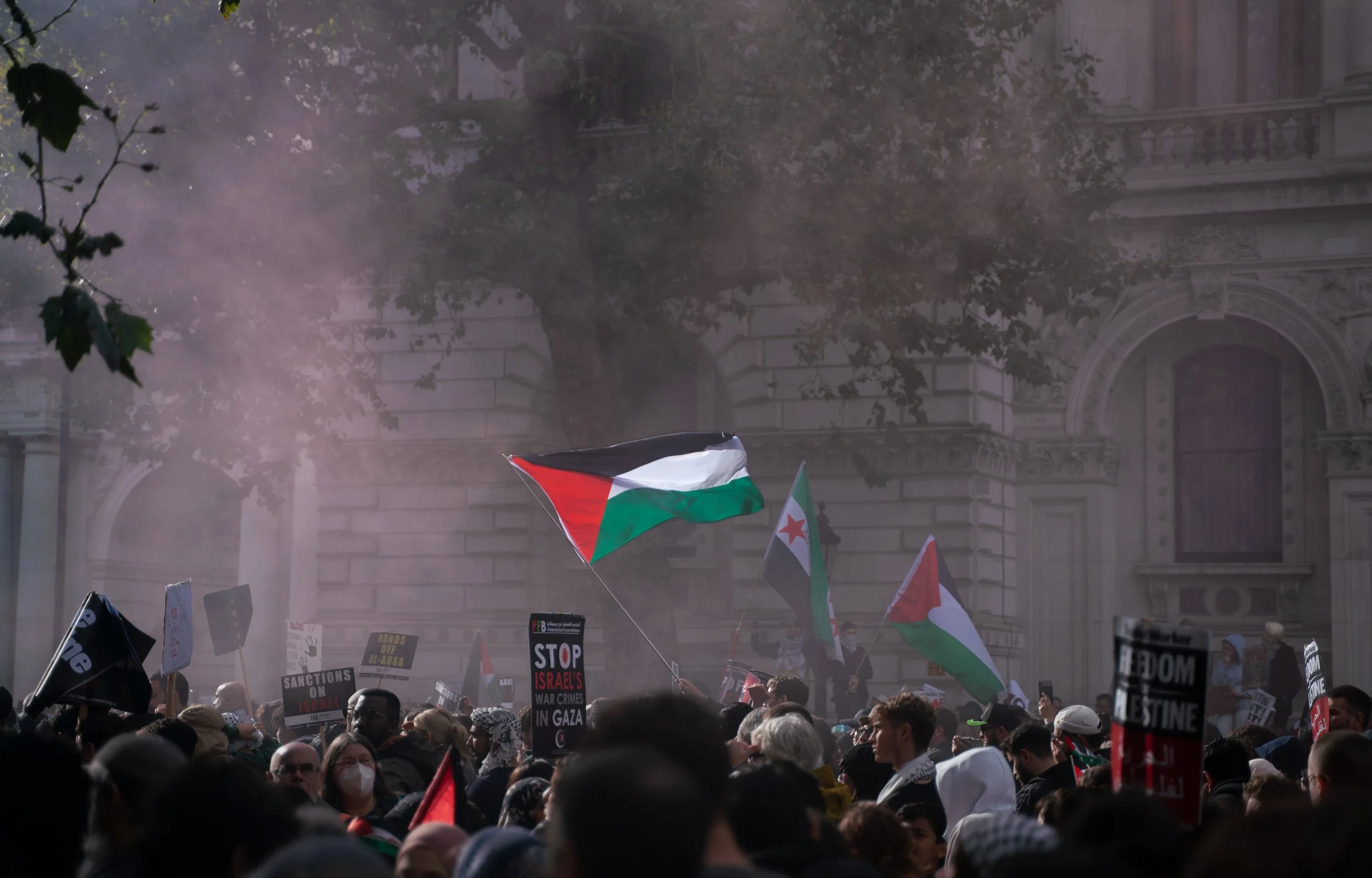 palestine flag.jpg