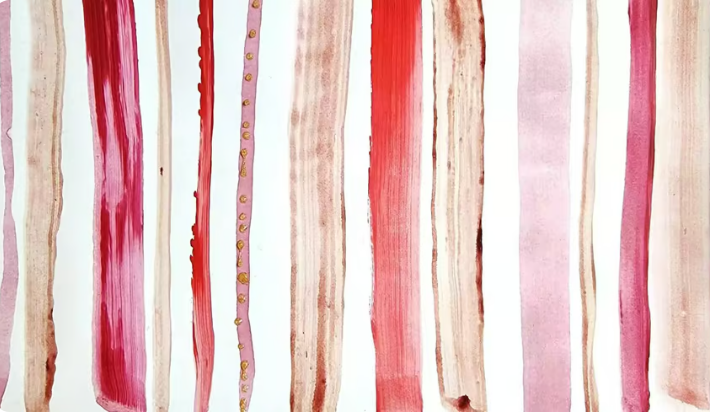 🩸 50 Shades of RED: Our Menstrual Storytelling Project Begins