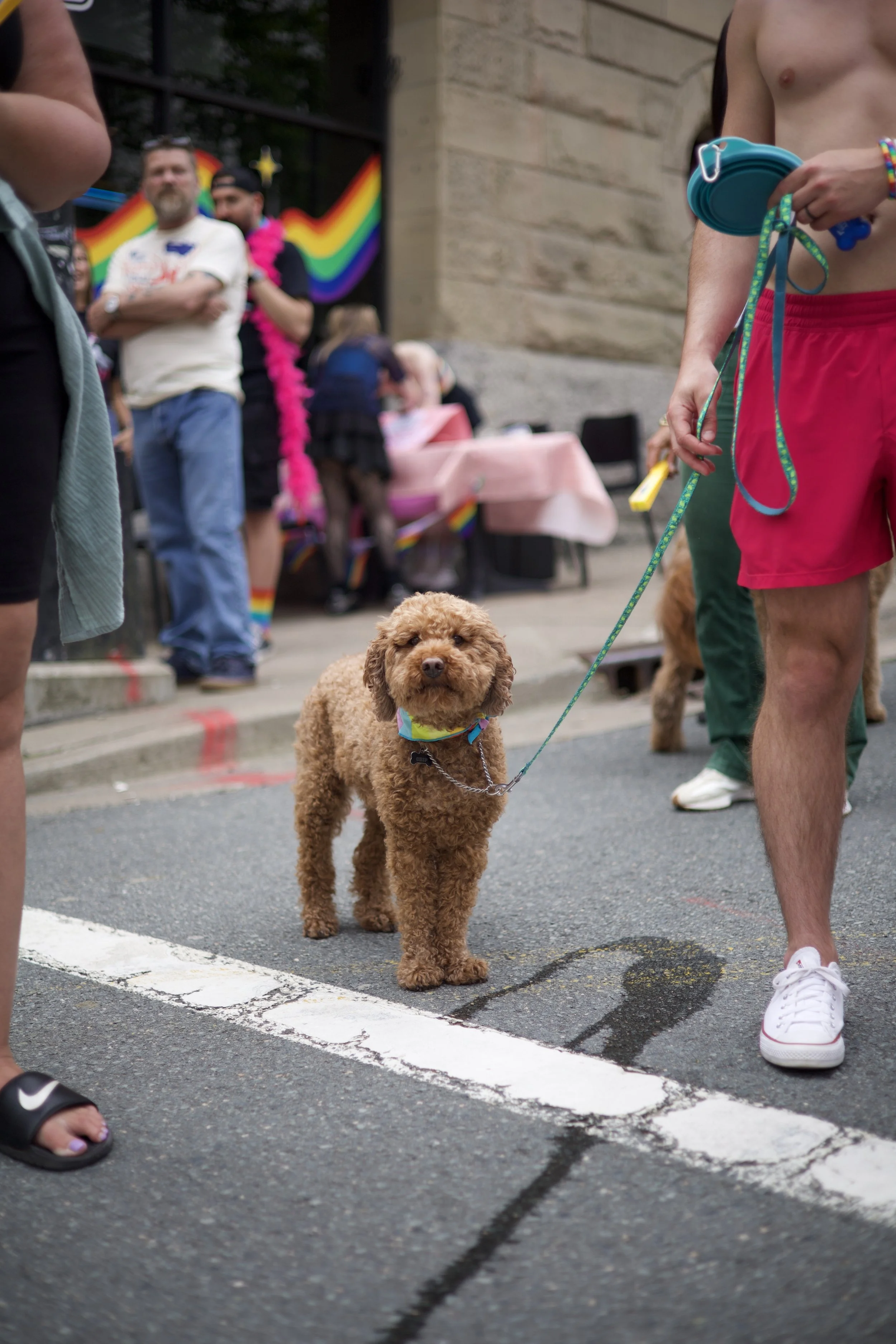 Pride-parade-2025-RoslynHouser-84.jpg
