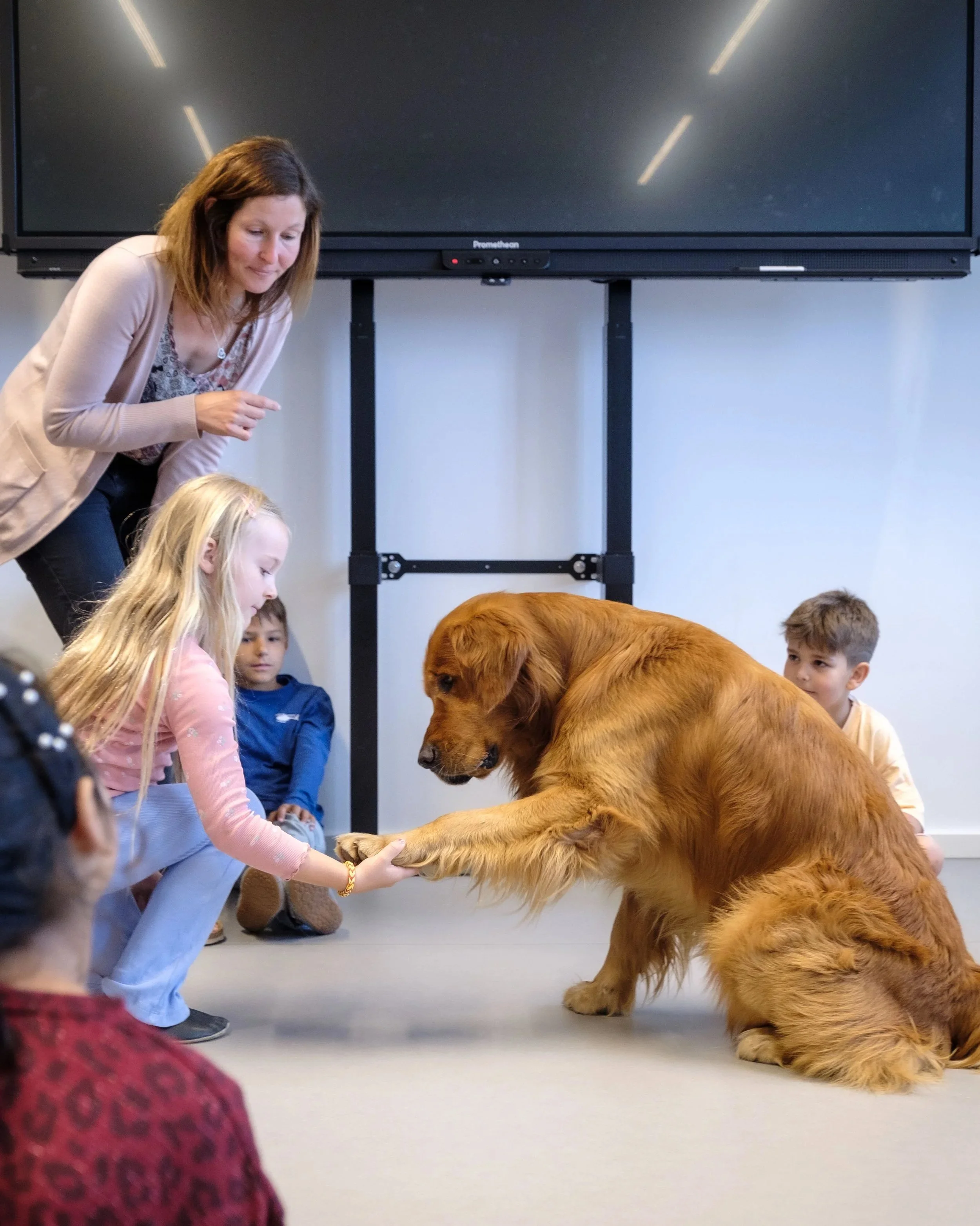 Ein Hund gibt einem Kind in einer Schulklasse die Pfote. Die Lehrerin beobachtet das Geschehen von oben und scheint etwas dazu zu erklären.