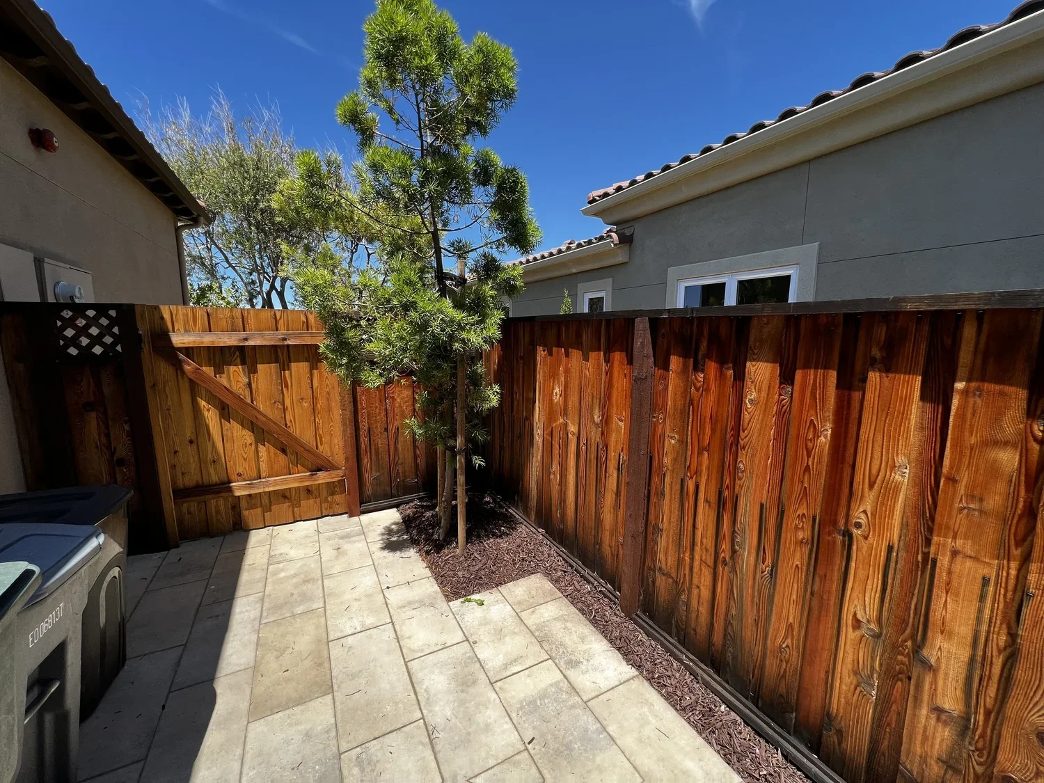 Fence Staining Willow Glen.webp