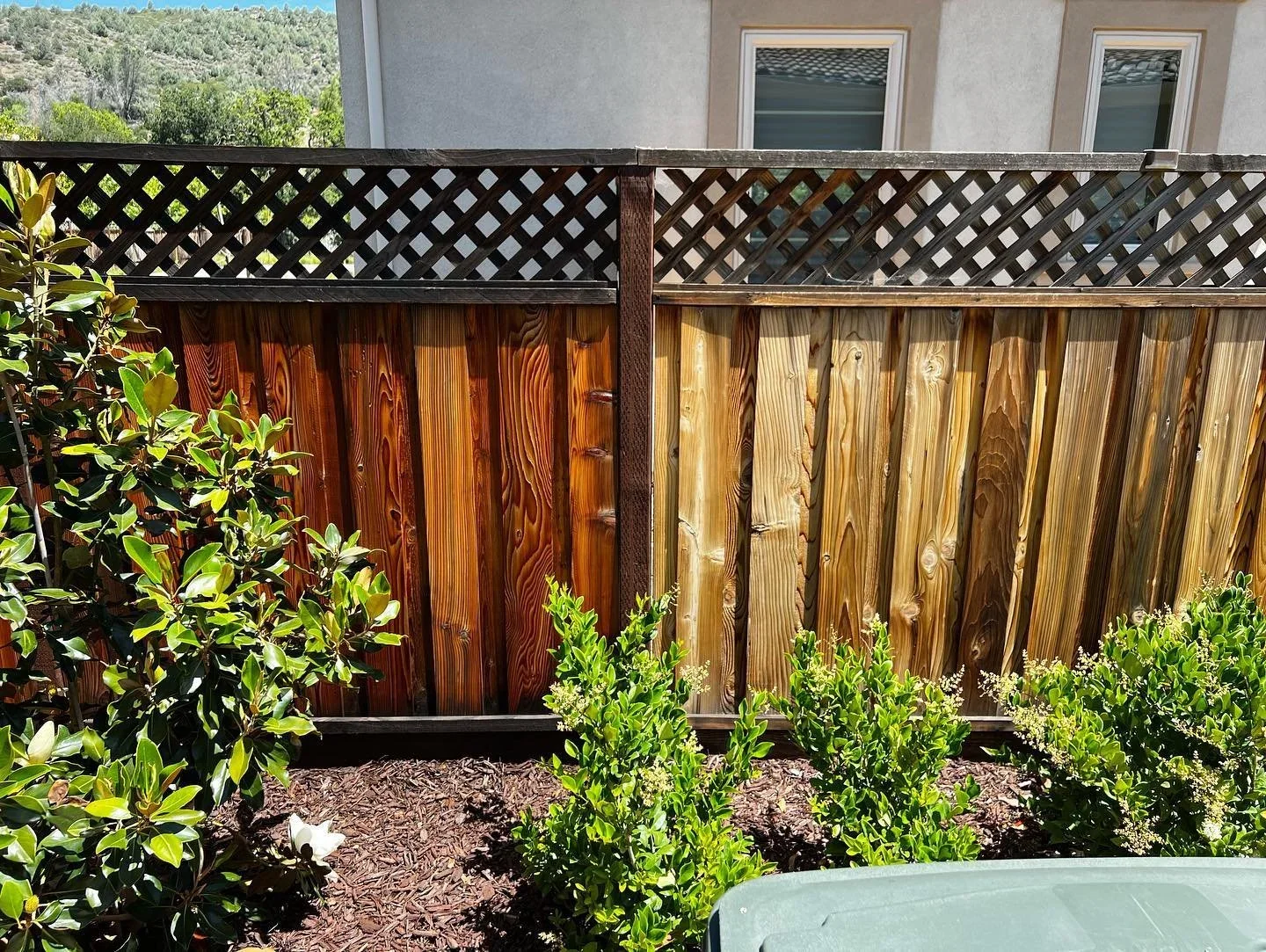 Painting Company Saratoga.webp