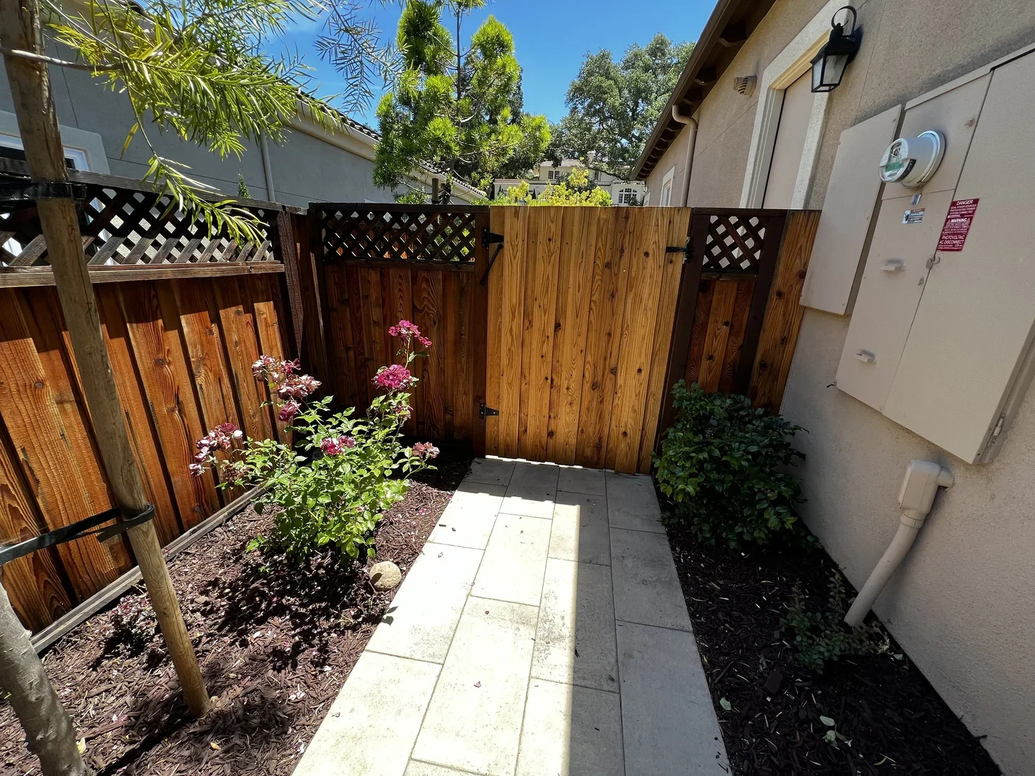 Fence Staining San Jose.webp