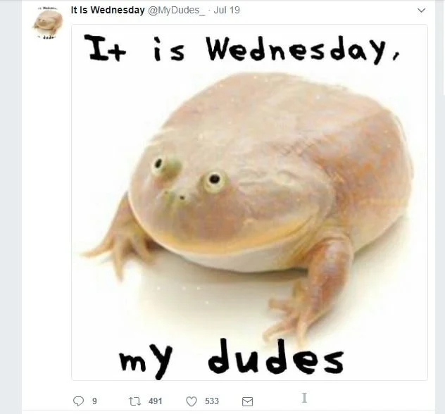 Everybody Tweet Now
