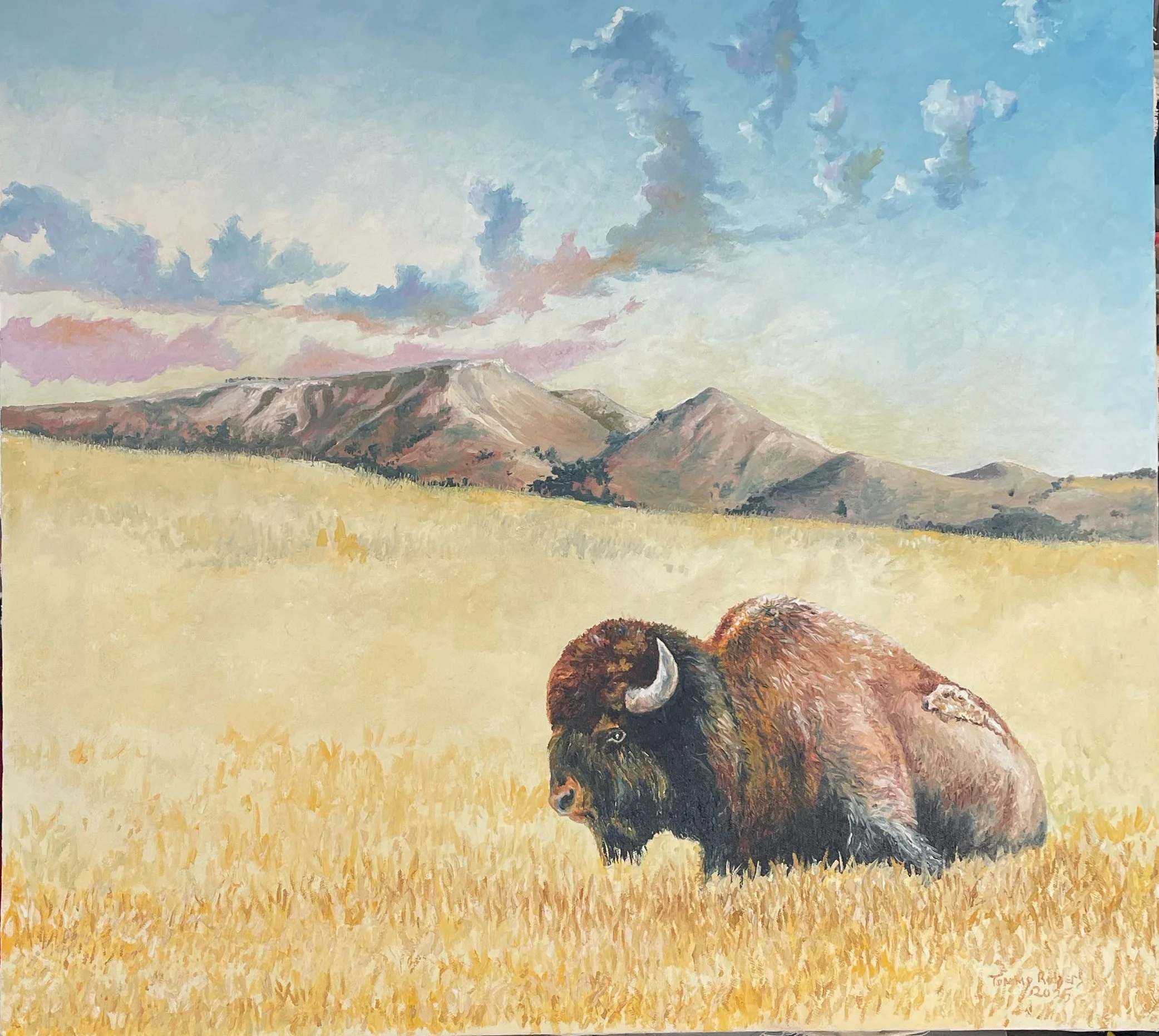 A landscape painting of mountains in the distance under a sky with clouds, and a grassy field in the foreground with a buffalo sitting on the grass.