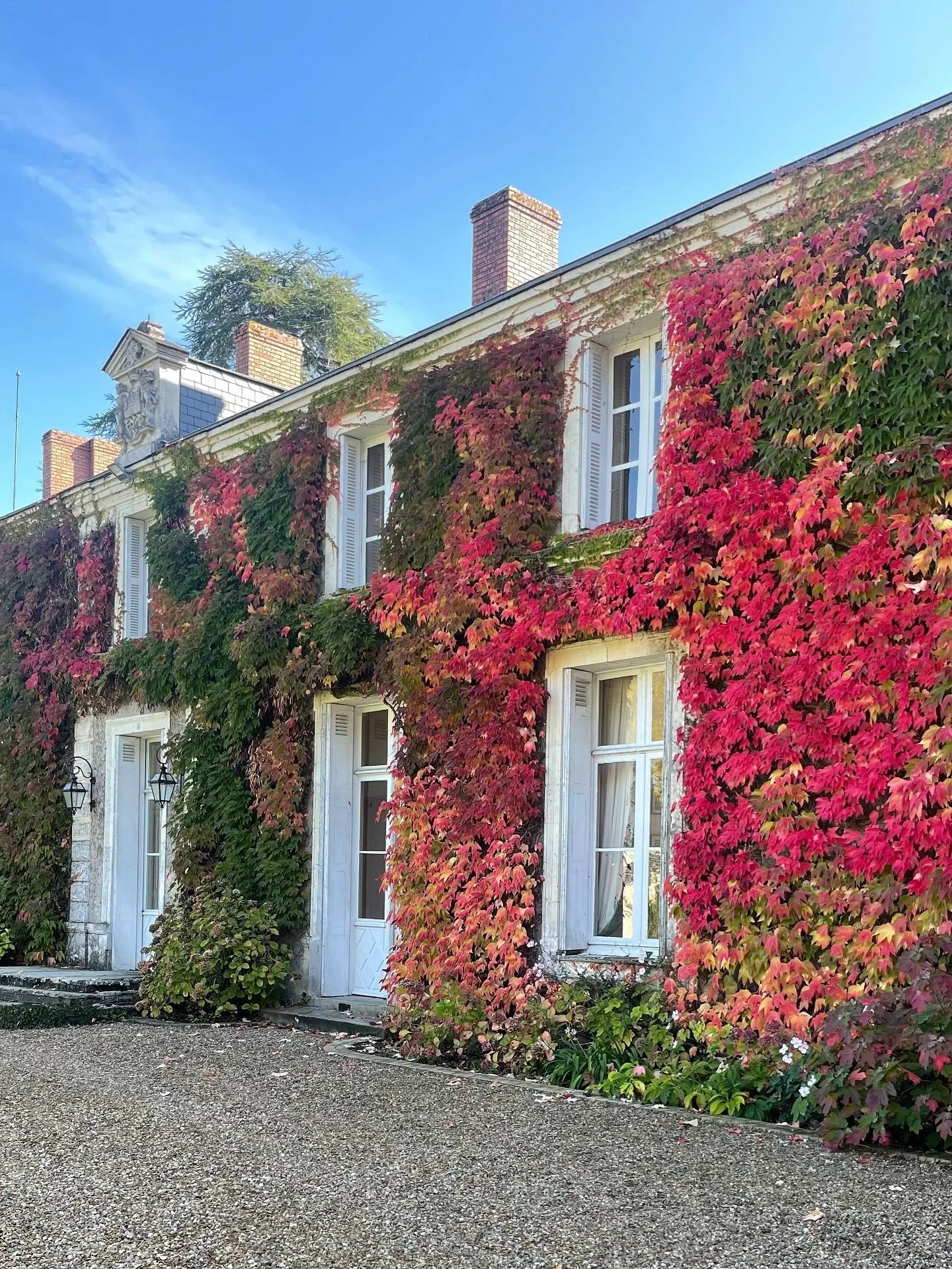 Le Château rayonne sous les couleurs de l’automne 🍂🍁 
Un dégradé de rouges, oranges, jaunes et verts a rempli les façades du Château de La Couetterie depuis quelques jours. Cette parade haute en couleurs est