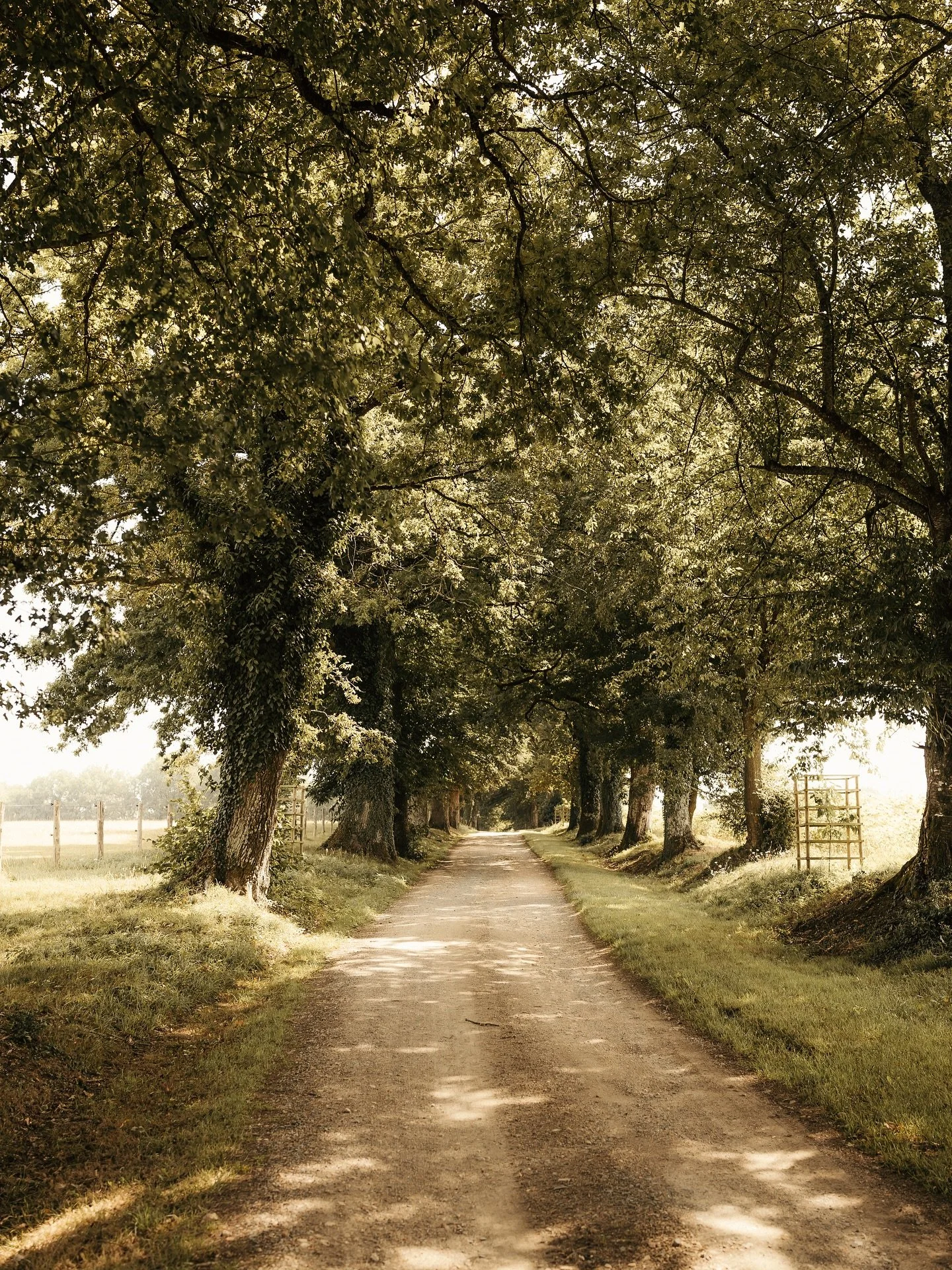 Cette entrée sur le domaine que vous aimez tant 🤍
Arbres centenaires, vue imprenable sur la campagne et la forêt environnante. Cette longue entrée boisée vous plonge immédiatement dans l’atmosphère idy