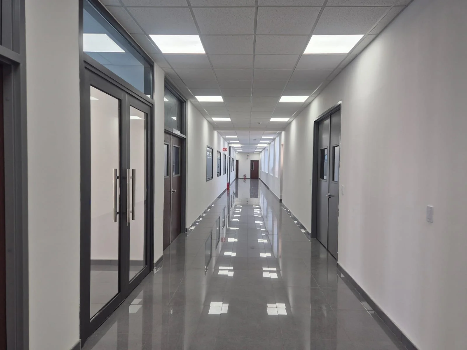 WhatsApp Image 2025-08-02 at 12.31.28_eacf57c0.jpg