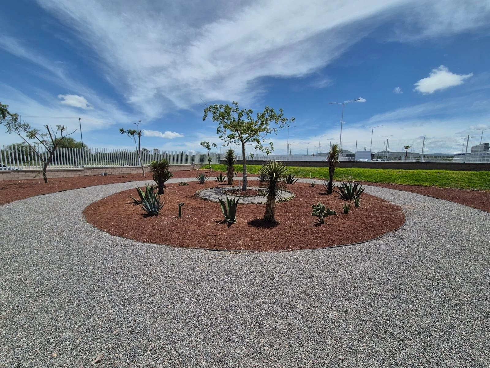 WhatsApp Image 2025-08-02 at 12.31.25_698d5214.jpg