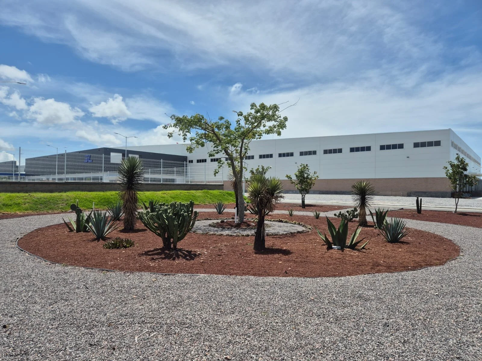 WhatsApp Image 2025-08-02 at 12.31.25_5e1fb3a3.jpg