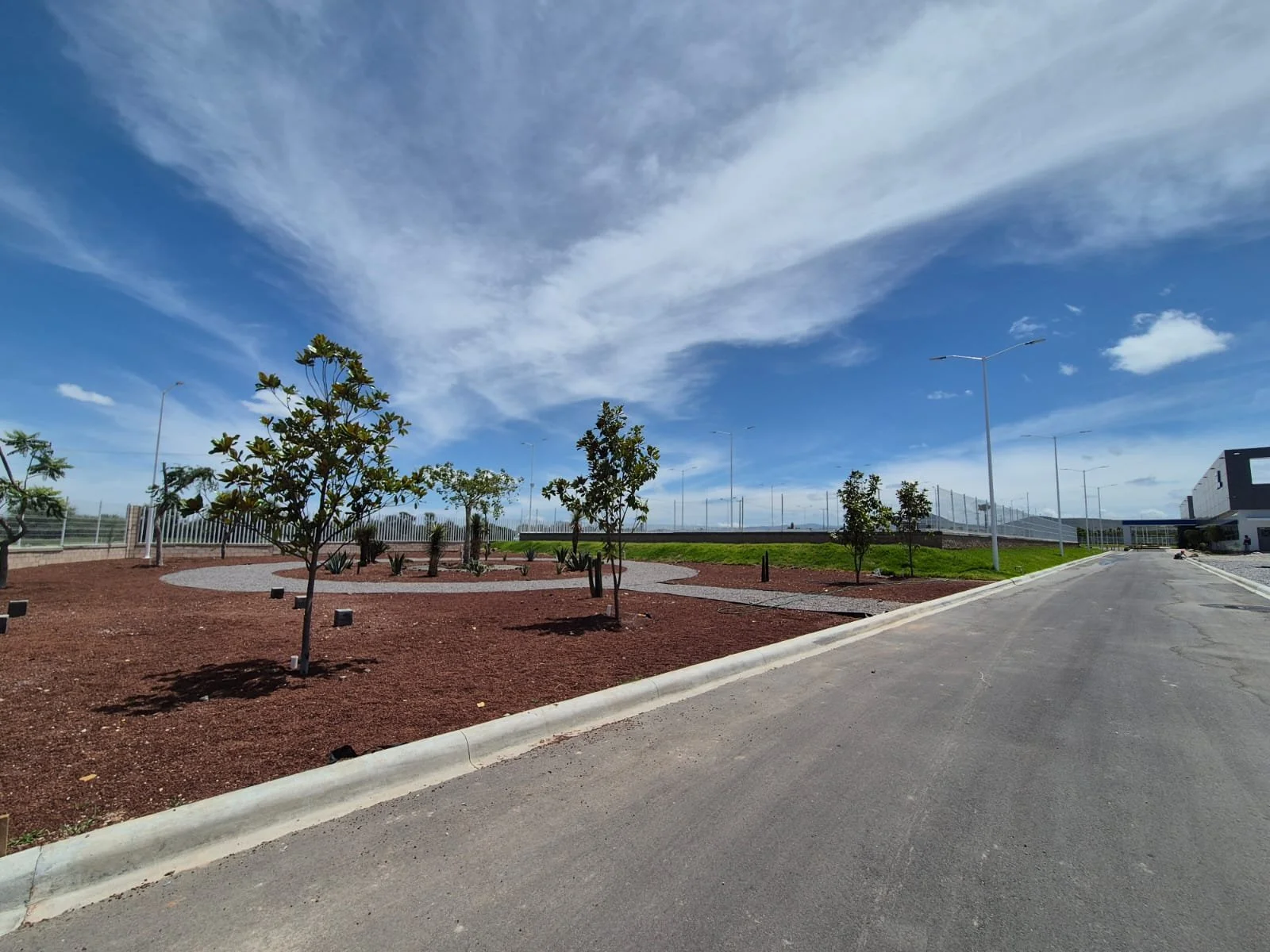 WhatsApp Image 2025-08-02 at 12.31.25_04e2041f.jpg