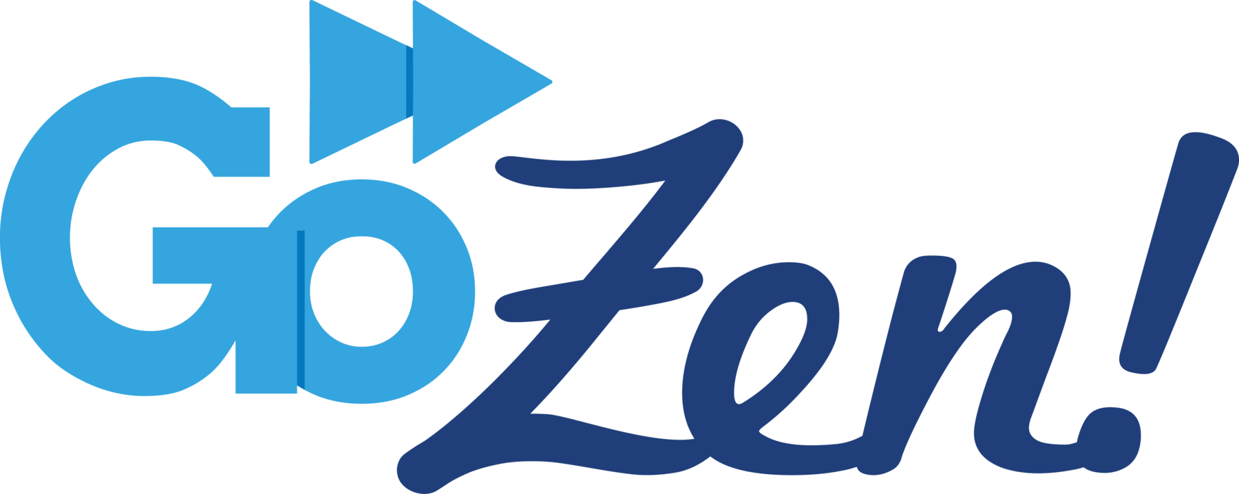The logo features the text "Go Zoom!" with "Go" in light blue, "Zoom" in dark blue, and an arrow incorporated into the "G" and "Z" representing movement or speed.