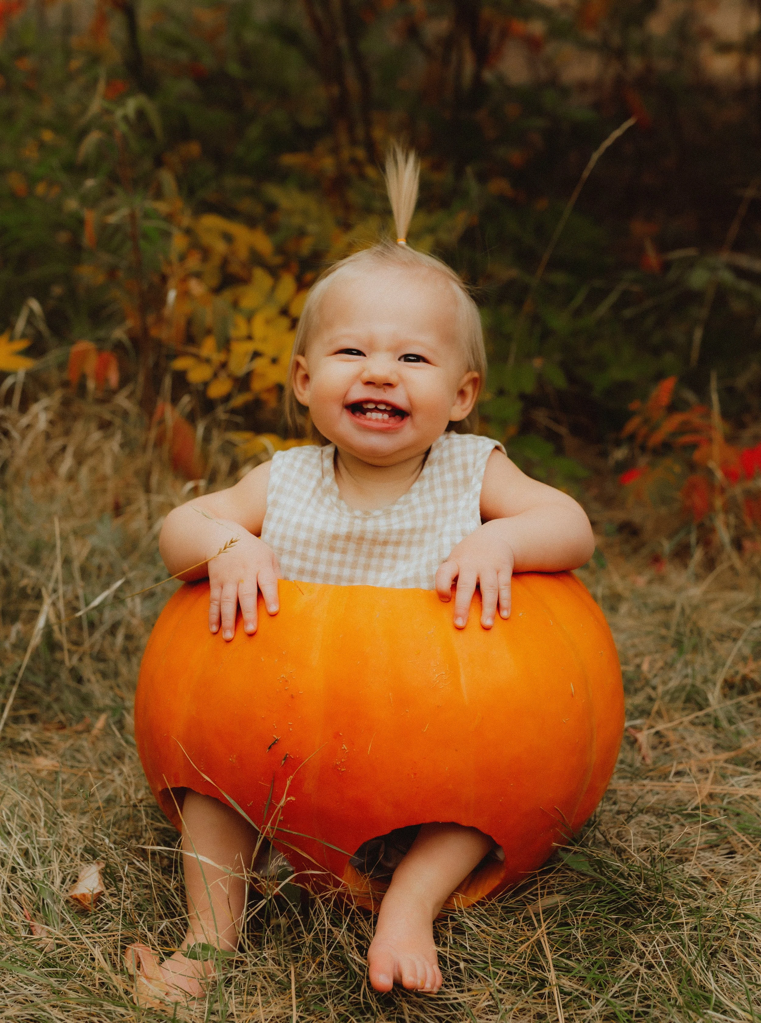 20251008 pumpkin bb BH 0092.jpg