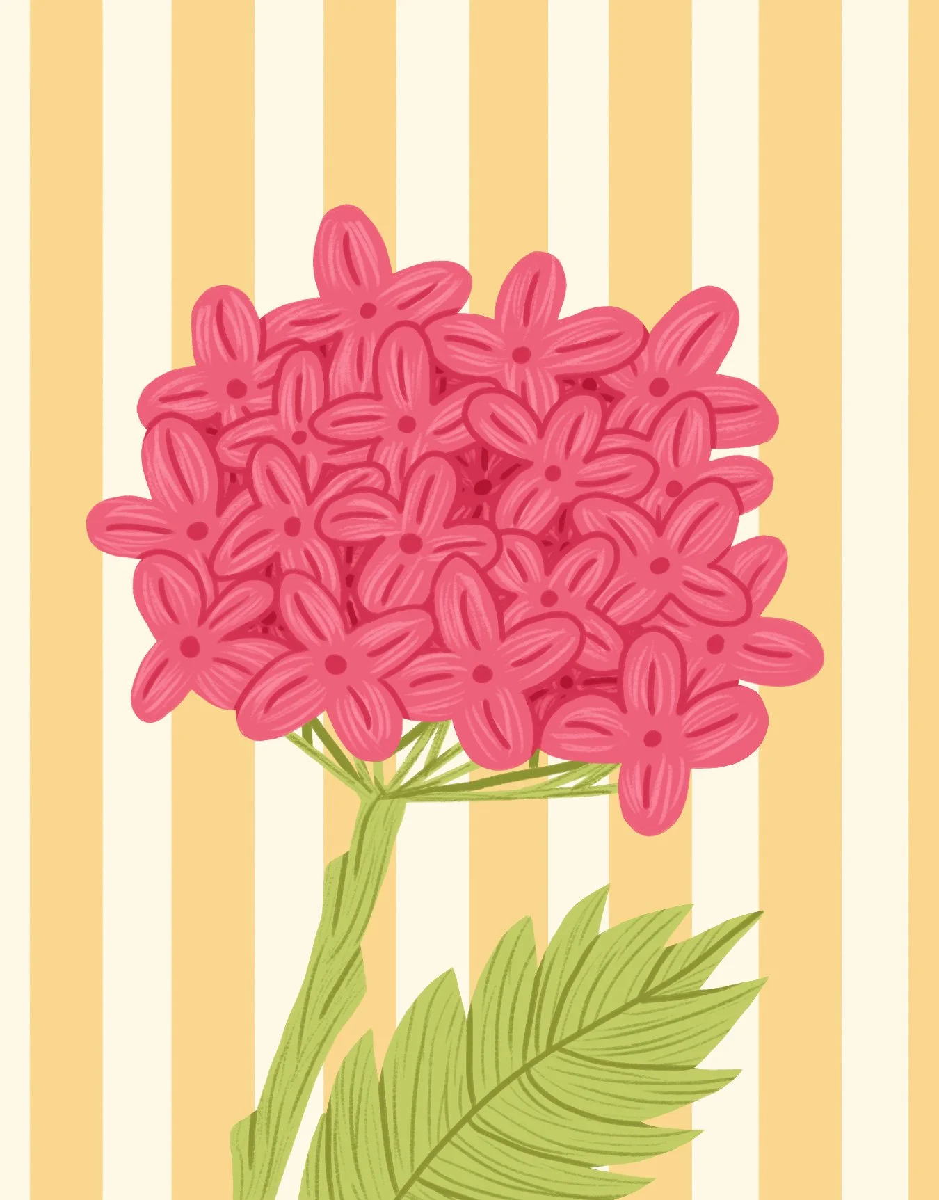 blankgreetingcardfront.jpg