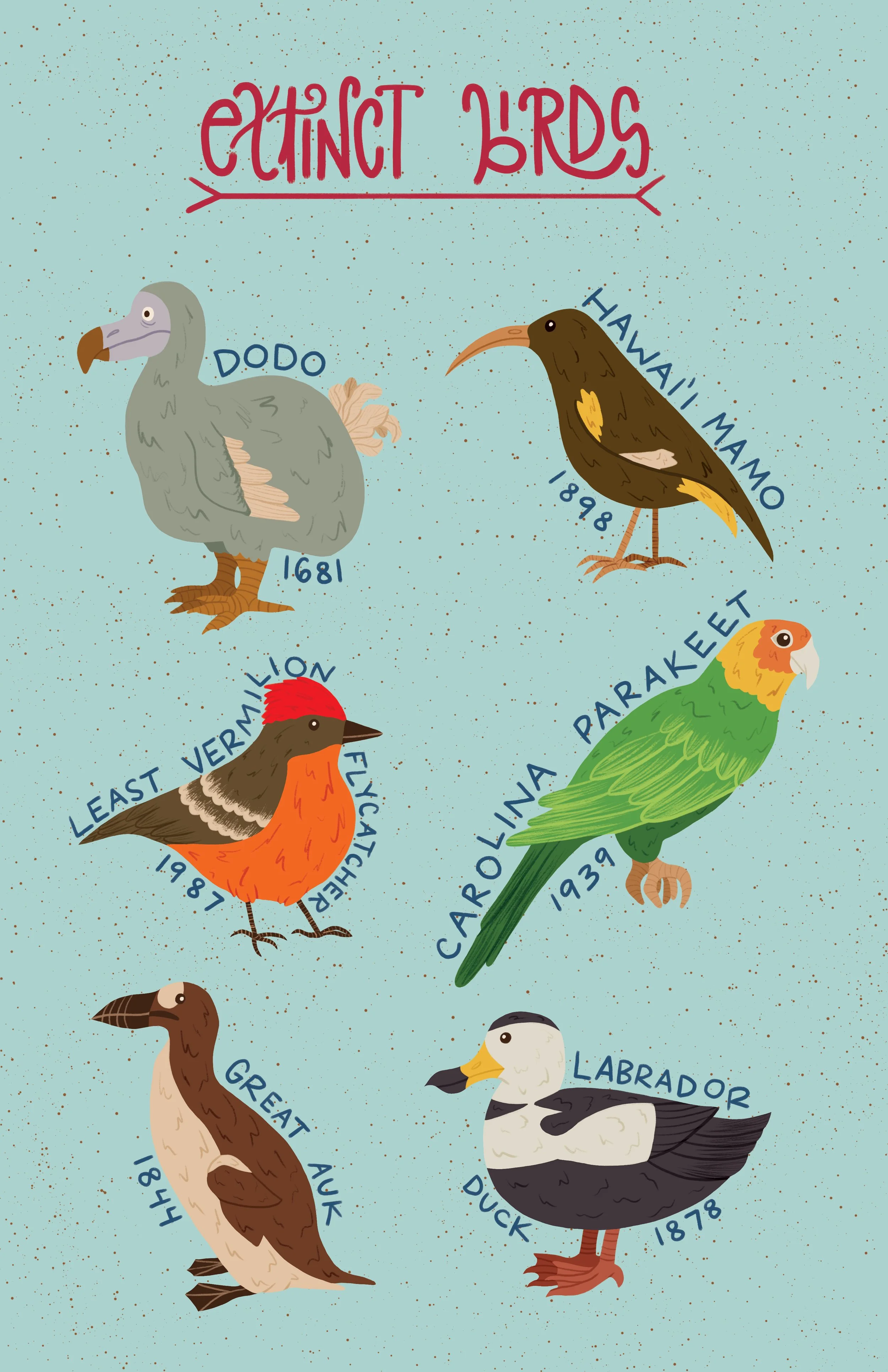 extinctbirdsposterfixed.jpg