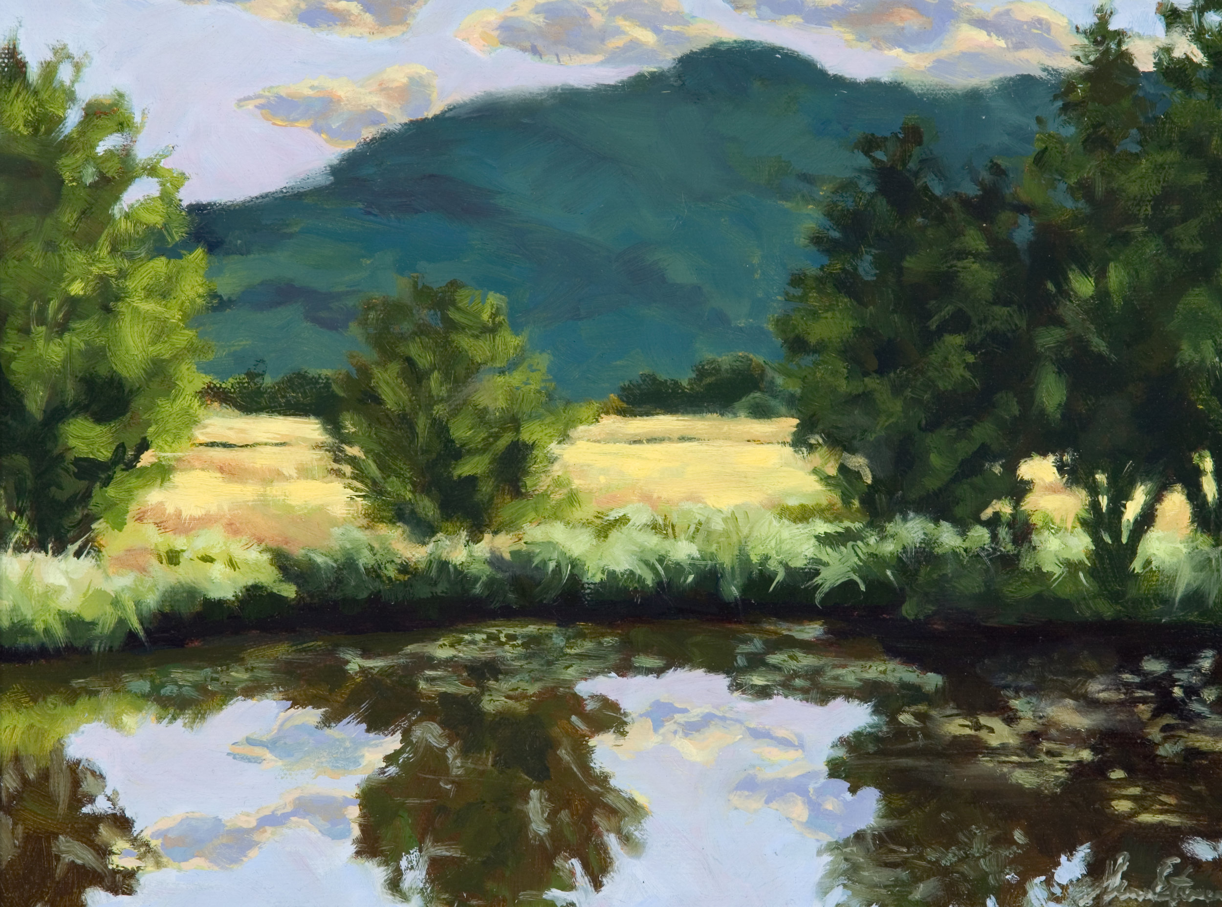 Pond Series  (Copy)