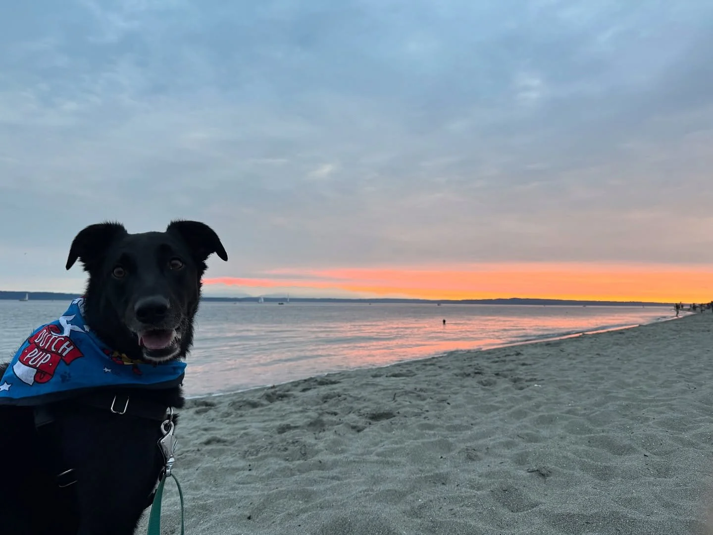 Seasonal Depression came early this year, it&rsquo;s like as soon as PSL szn started, so did the extra depression 🙃 Took a mental health day &amp; ended up making jewelry at the beach during sunset, it temporarily boosted my serotonin &amp; we made 