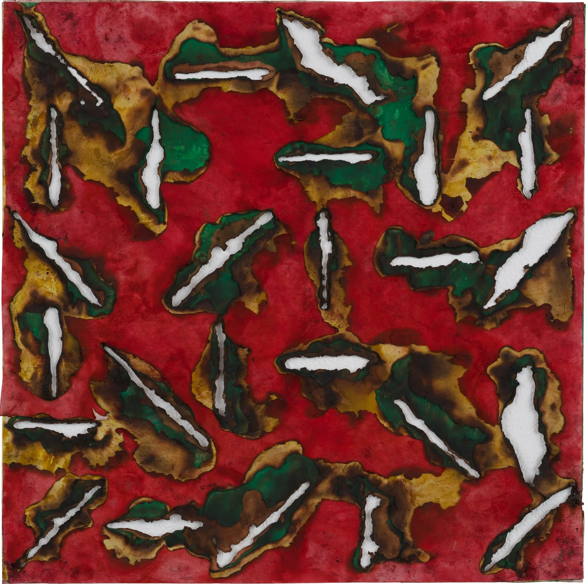 MCC_2019_0022_Crop (2).jpg