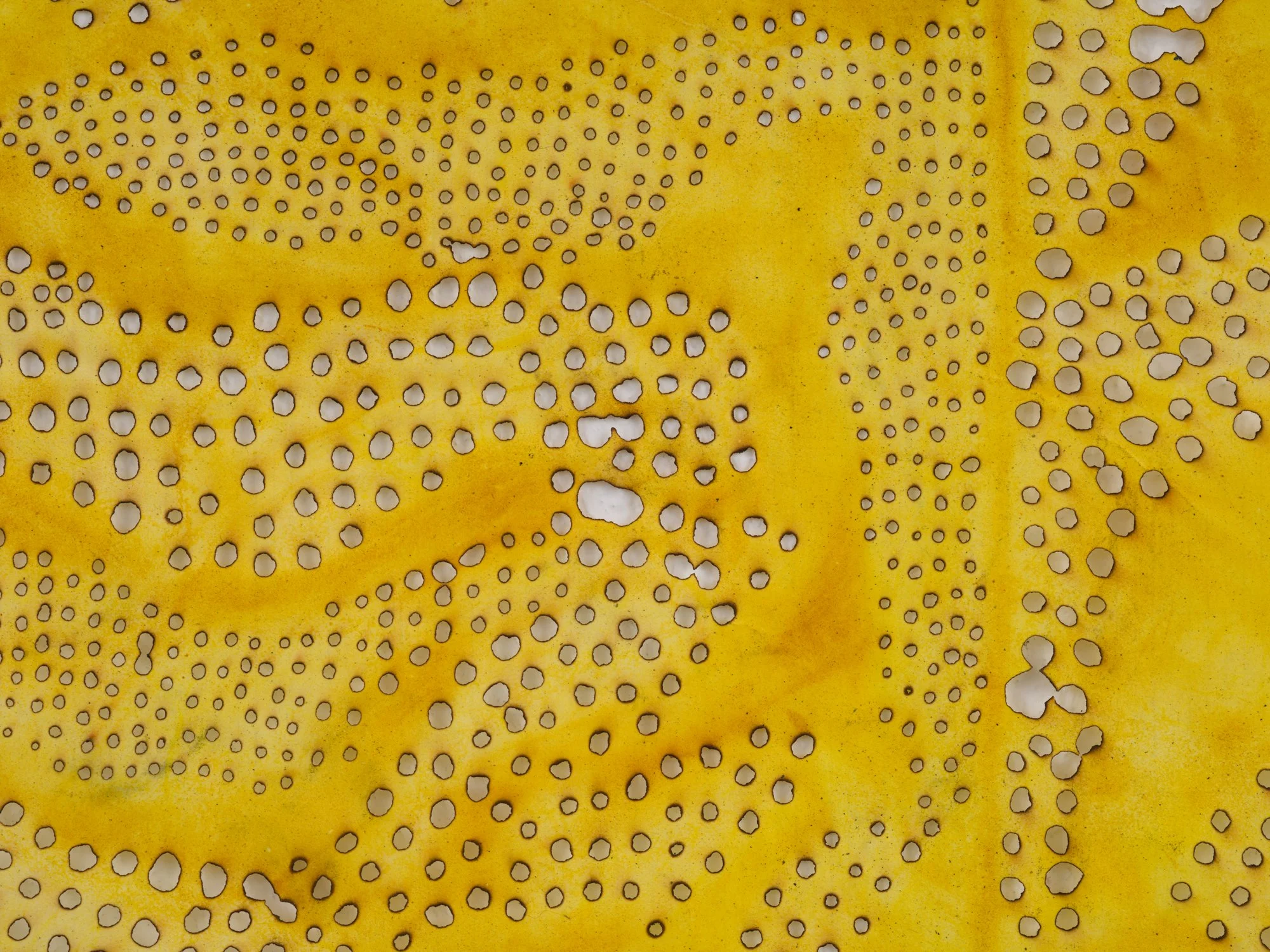 MCC_2019_0096_Detail 1.jpg